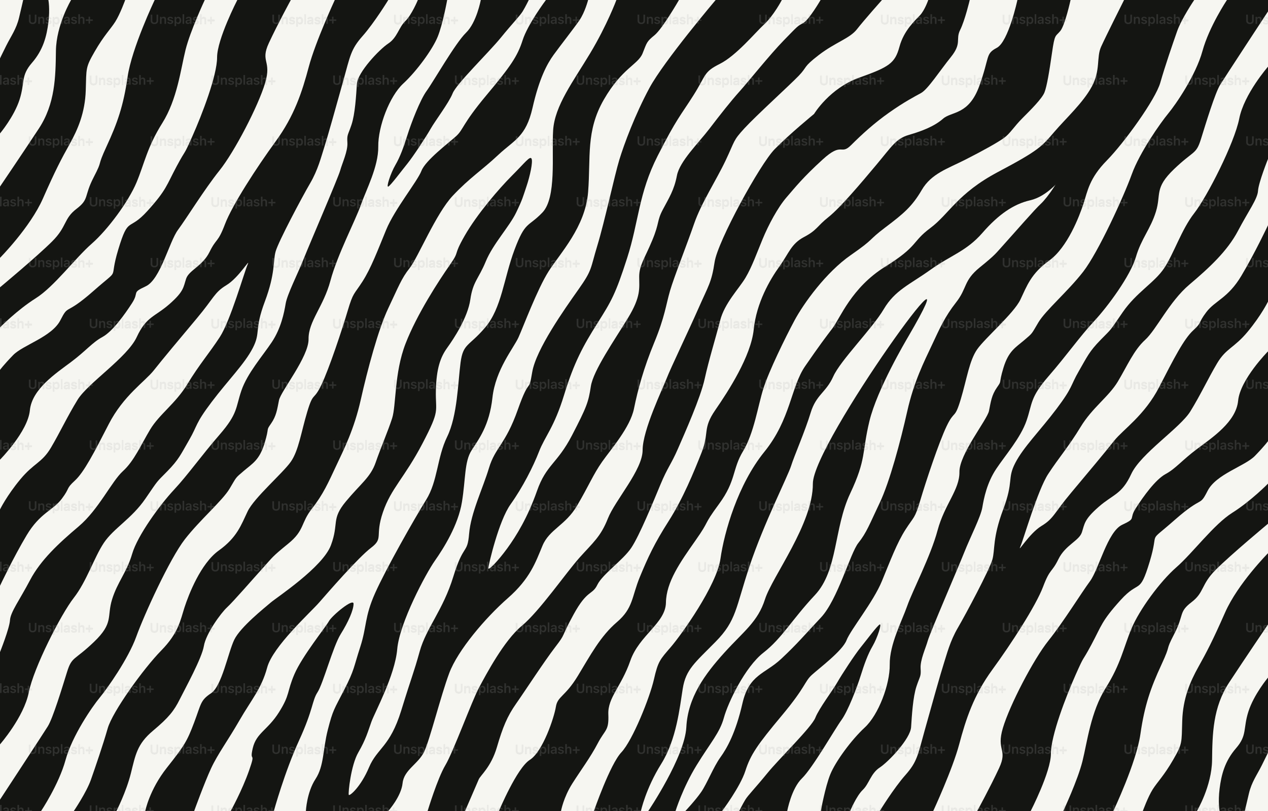 Patrón de rayas de cebra en blanco y negro