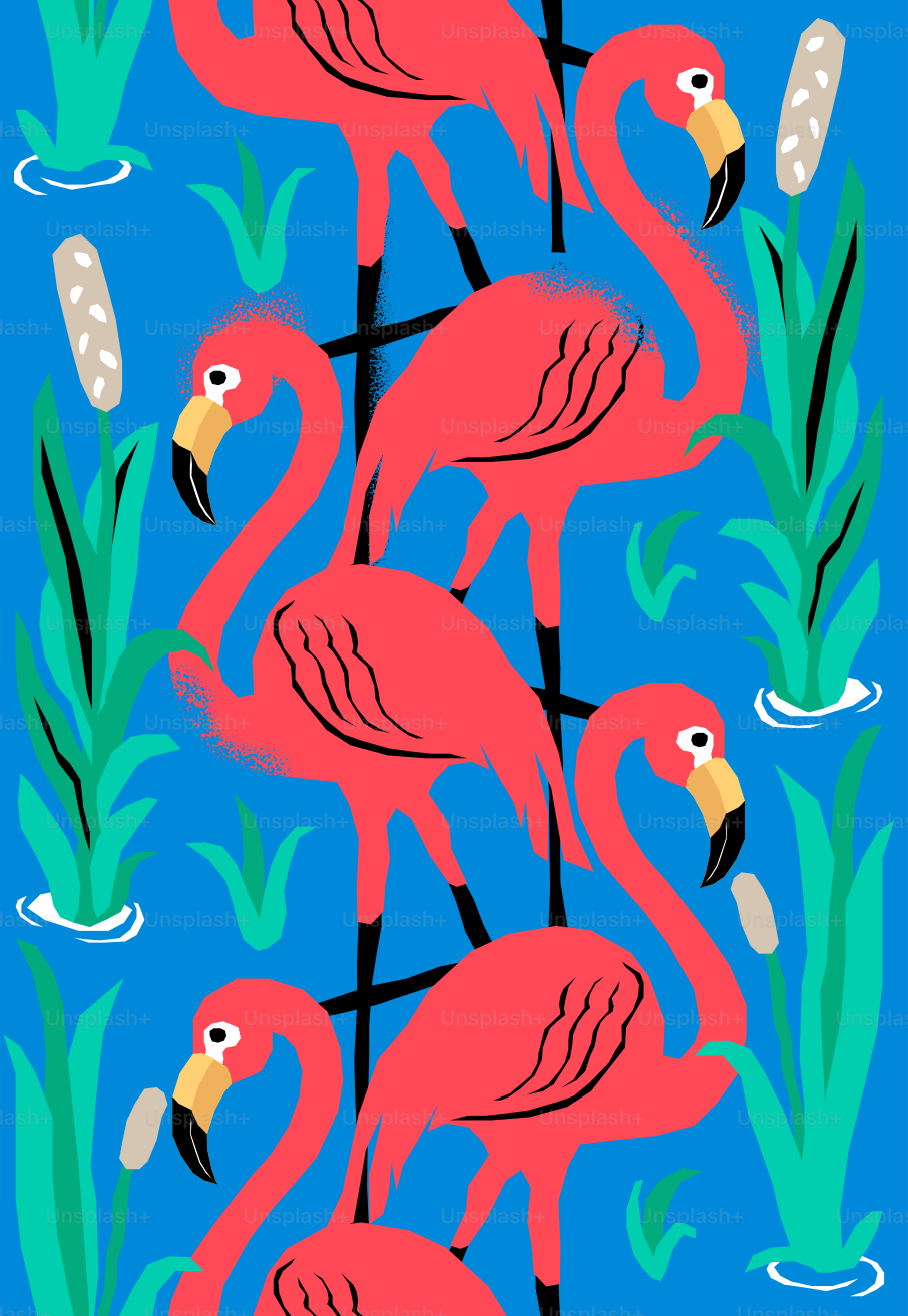 Several bright pink flamingos stand in blue water with reeds.