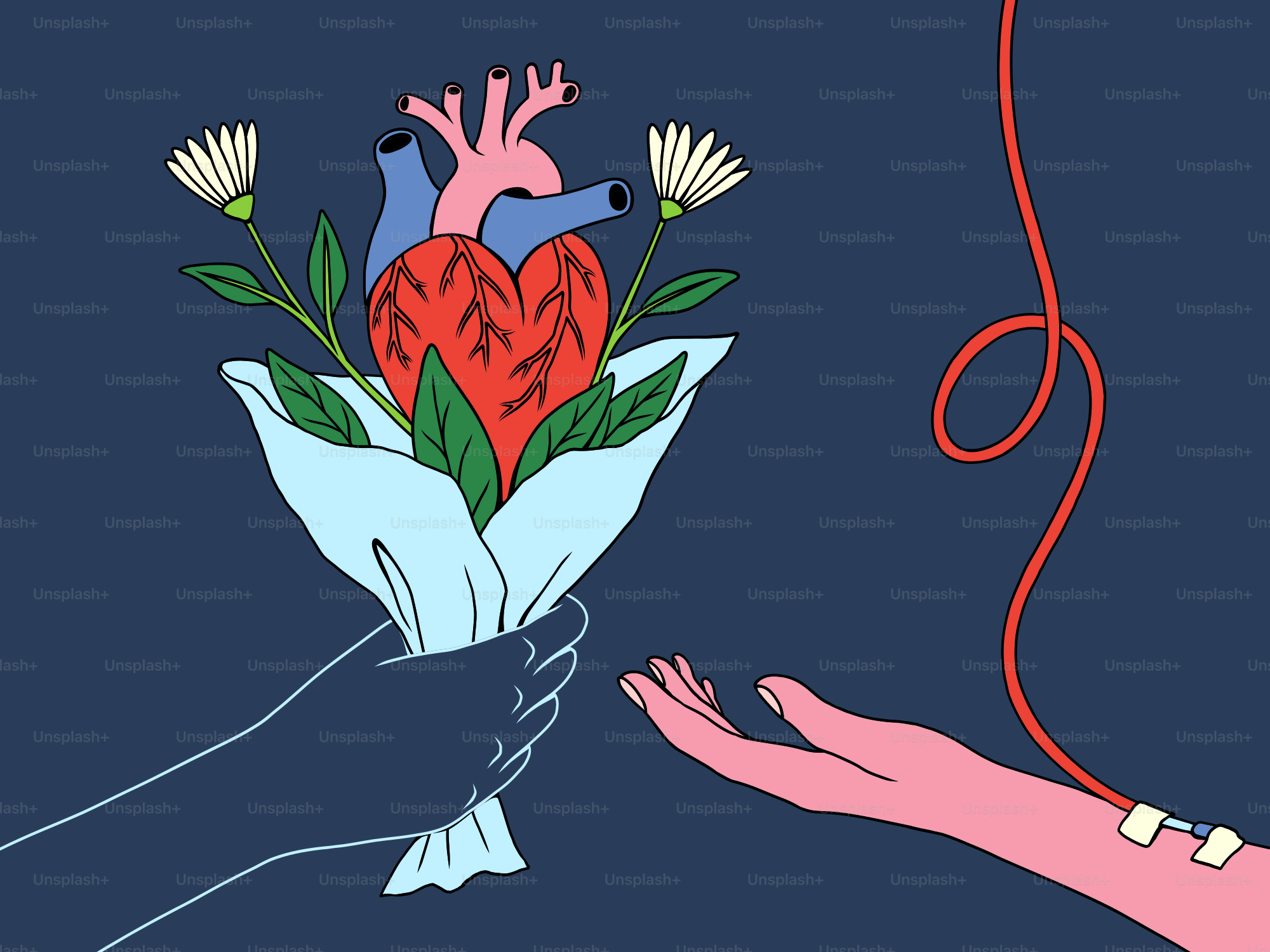 Heart bouquet offered to a hand receiving blood transfusion