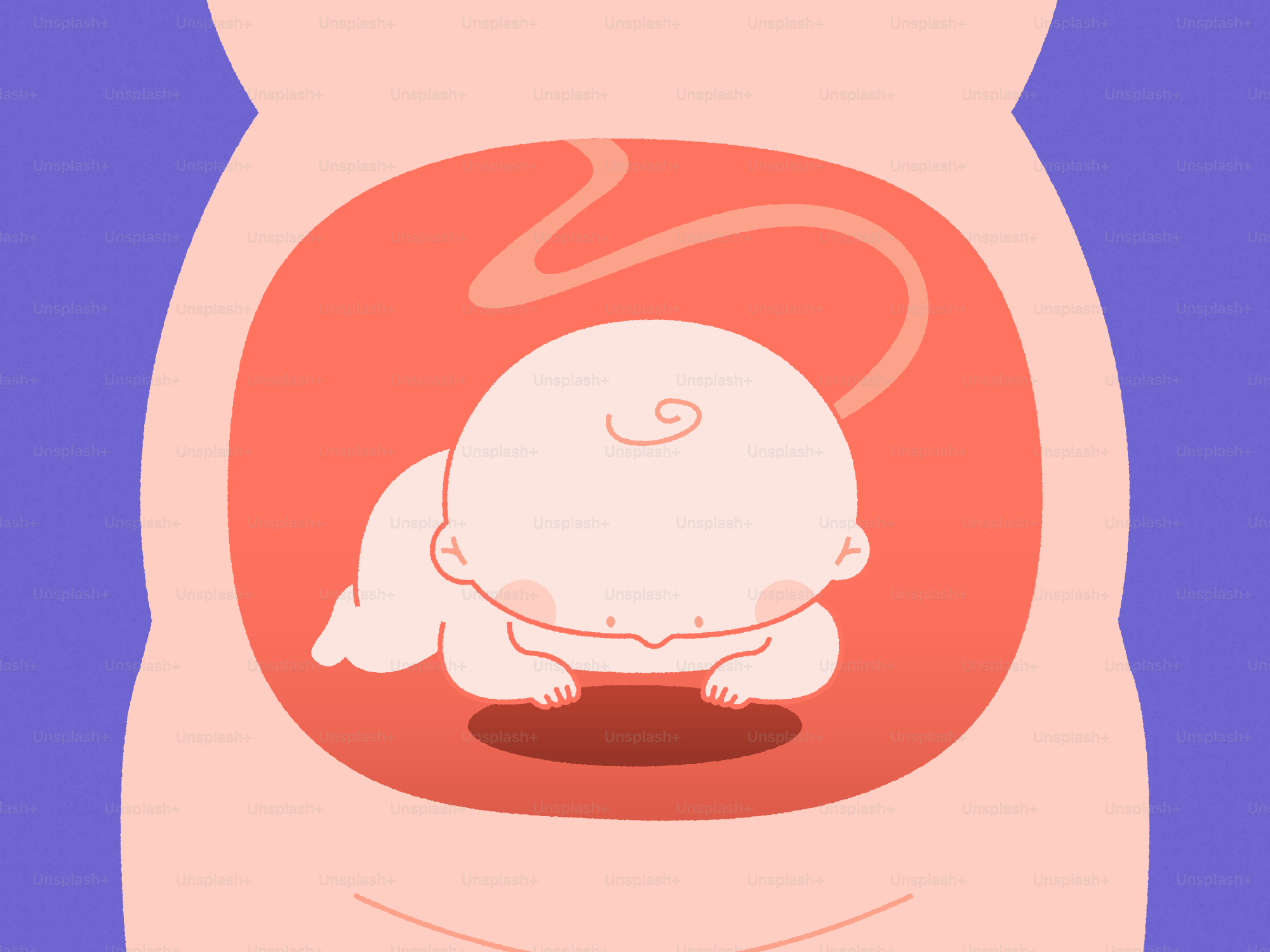 A baby developing inside the womb.