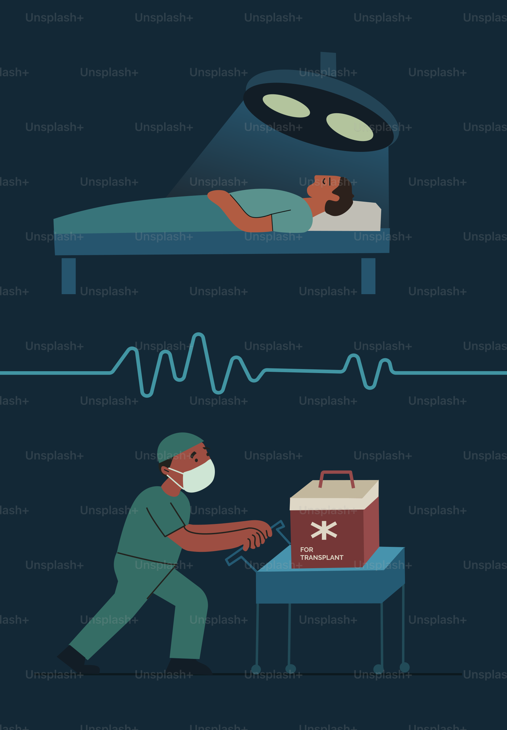 Surgeon pushes organ transplant cooler towards patient.