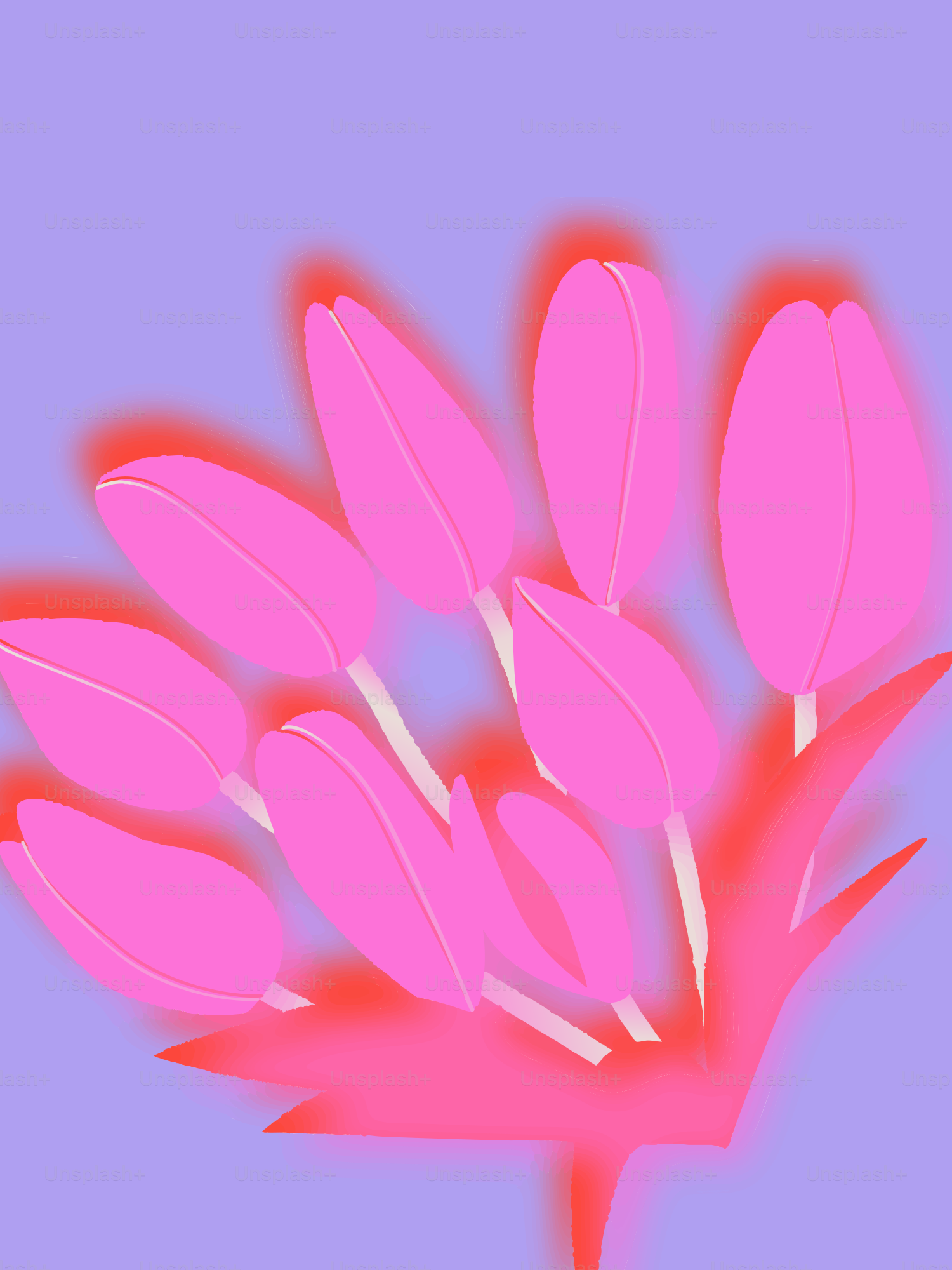Pink tulips with red glow on purple background