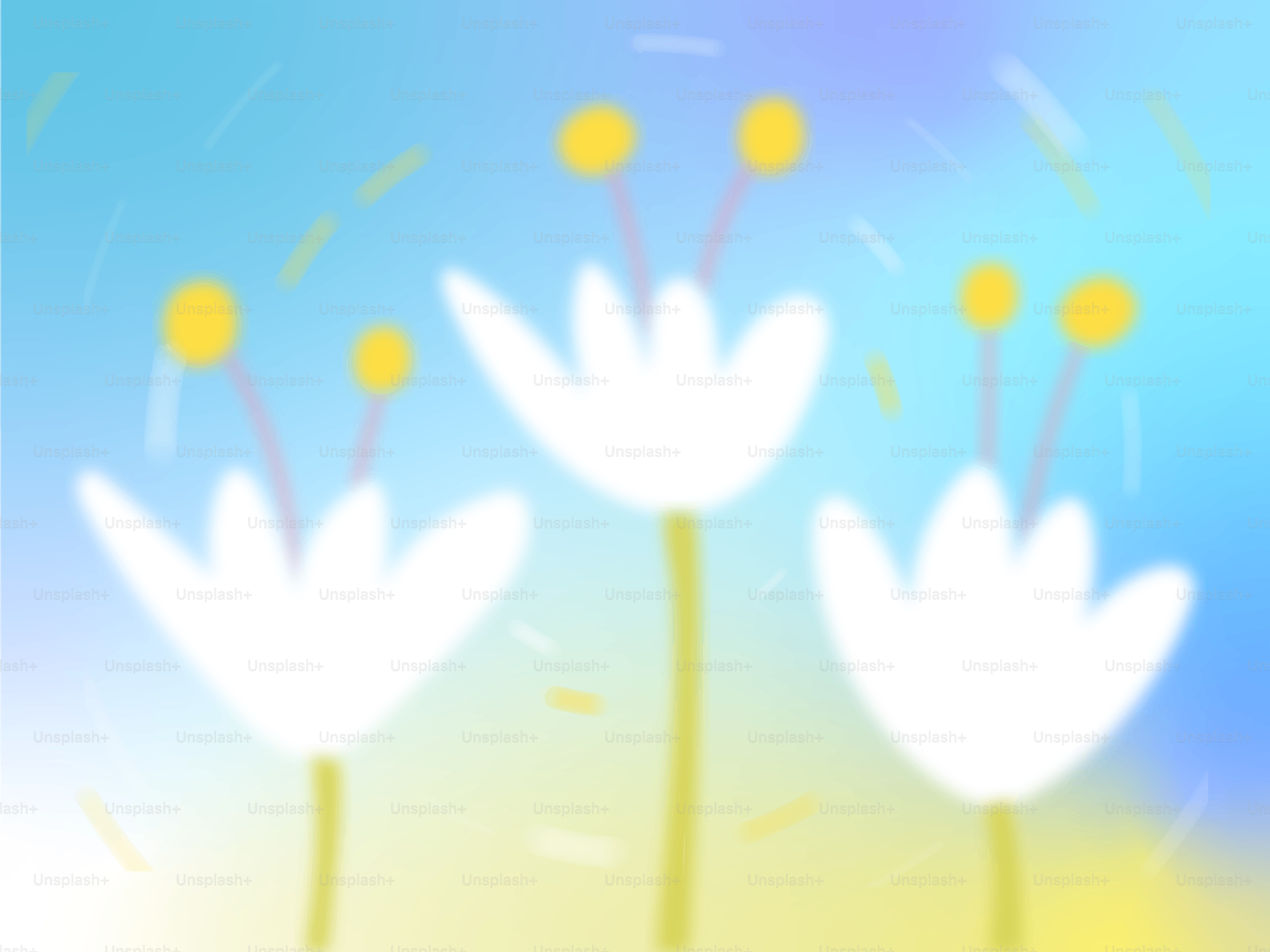 Three white flowers with yellow centers against blue background