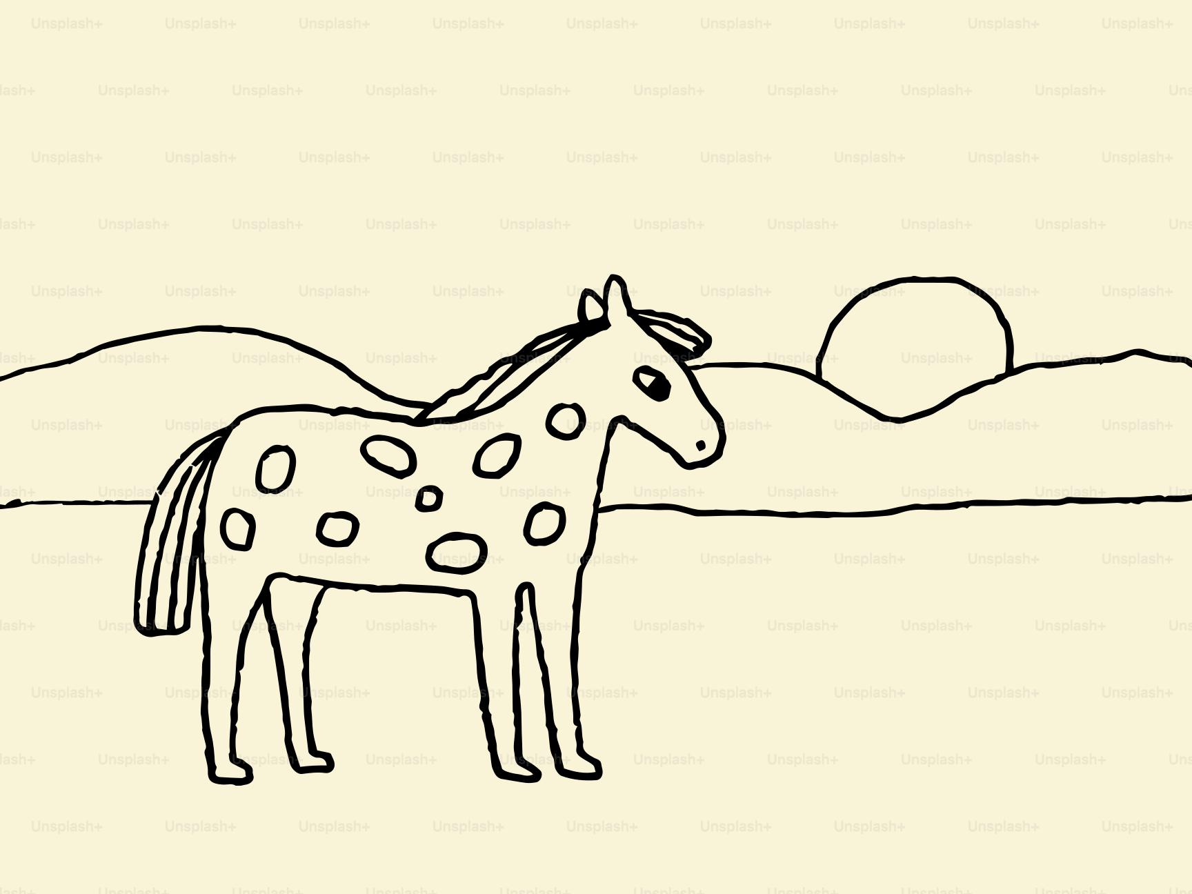 A spotted horse stands in a field at sunset.