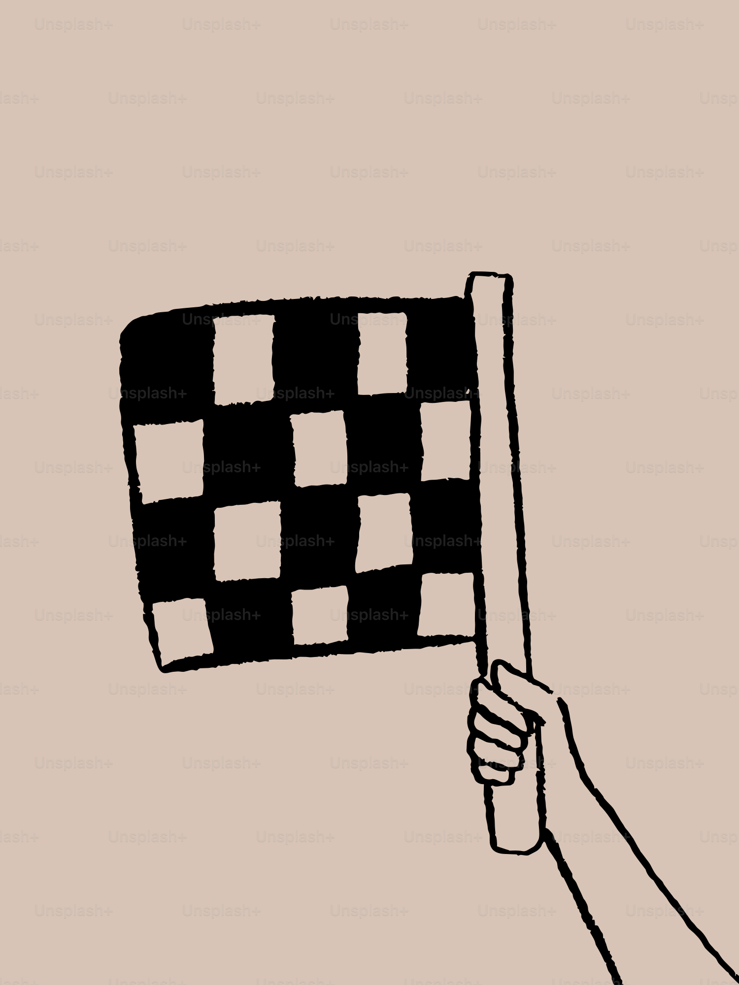 Hand holding a checkered racing flag