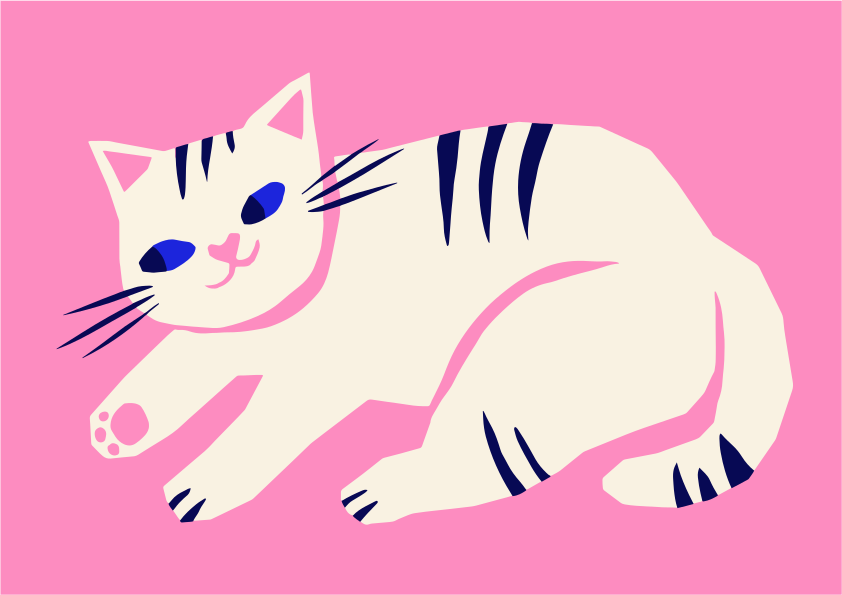A white cat with blue eyes on pink background