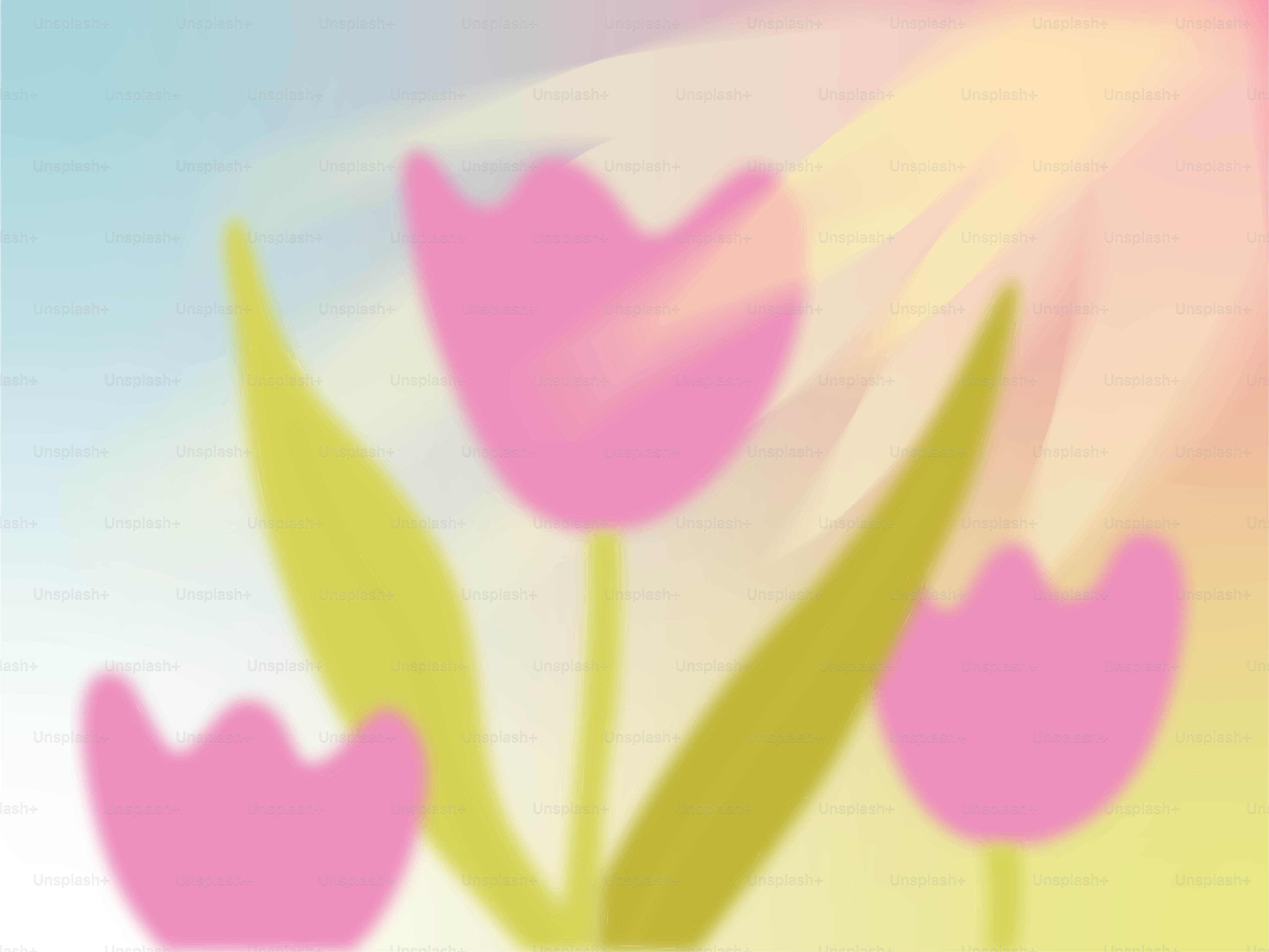 Pink tulips with green leaves and bright sunlight.