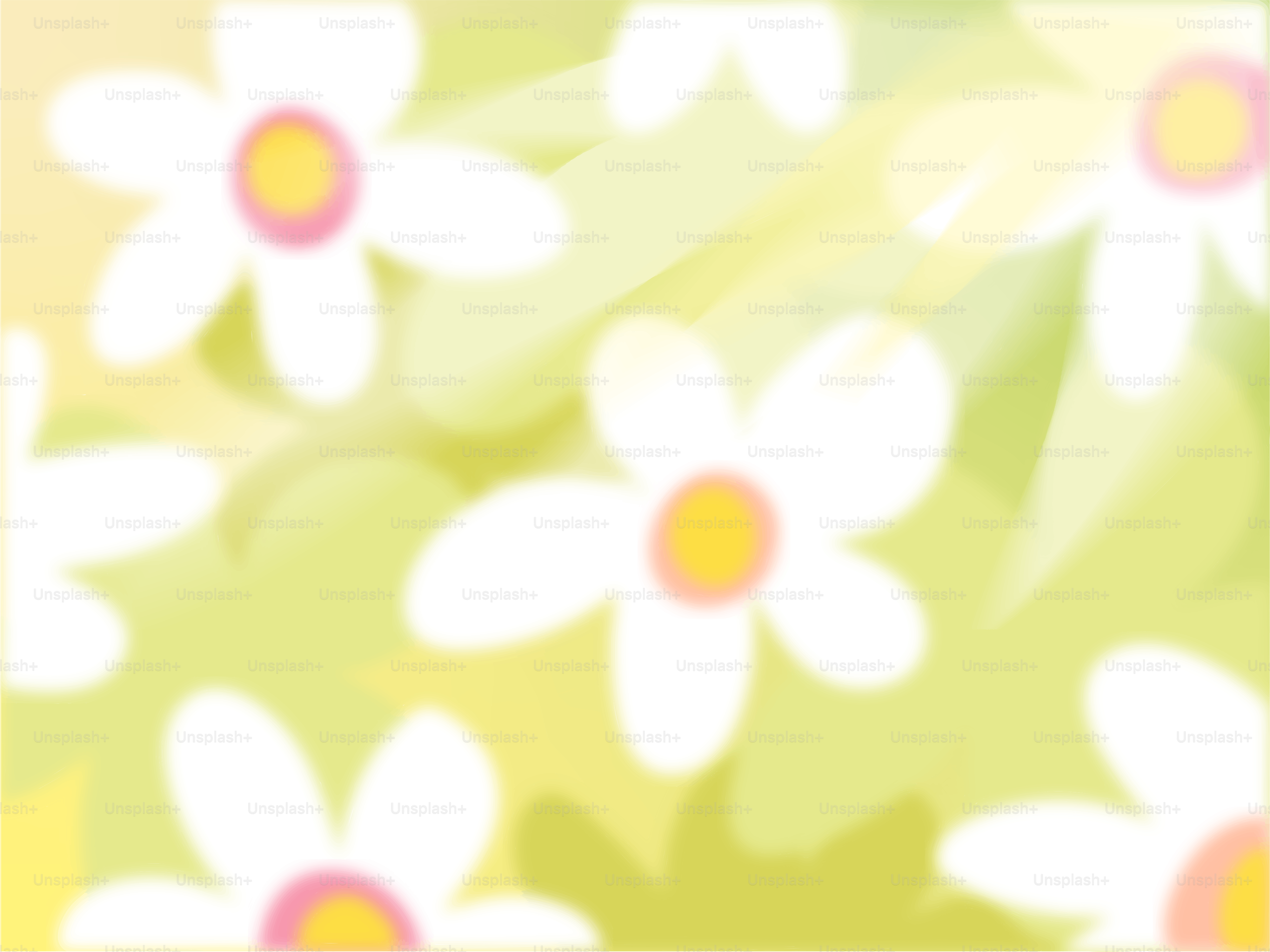 Soft focus white flowers with yellow centers on green background