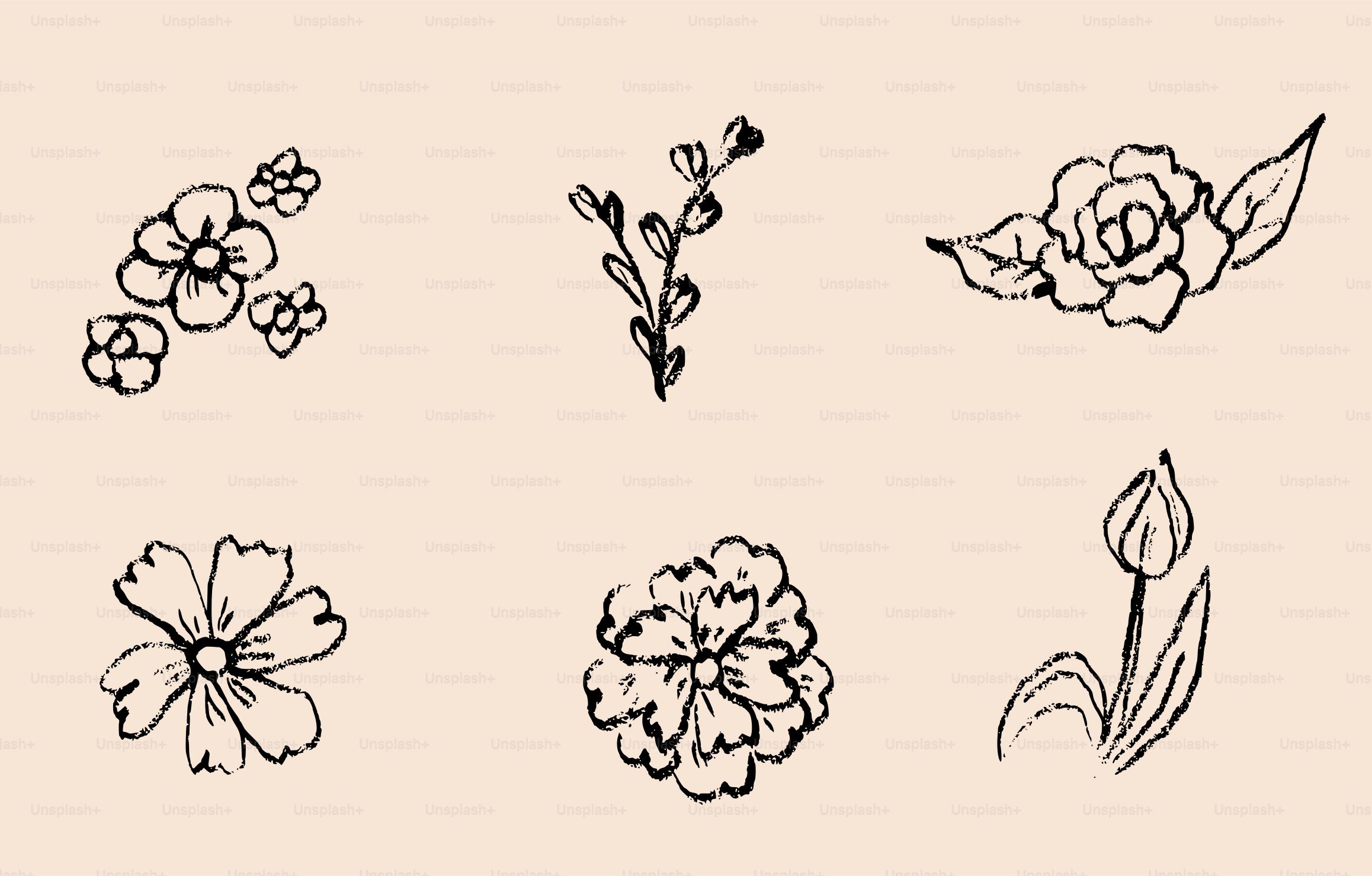 Sketchy floral elements on a light background