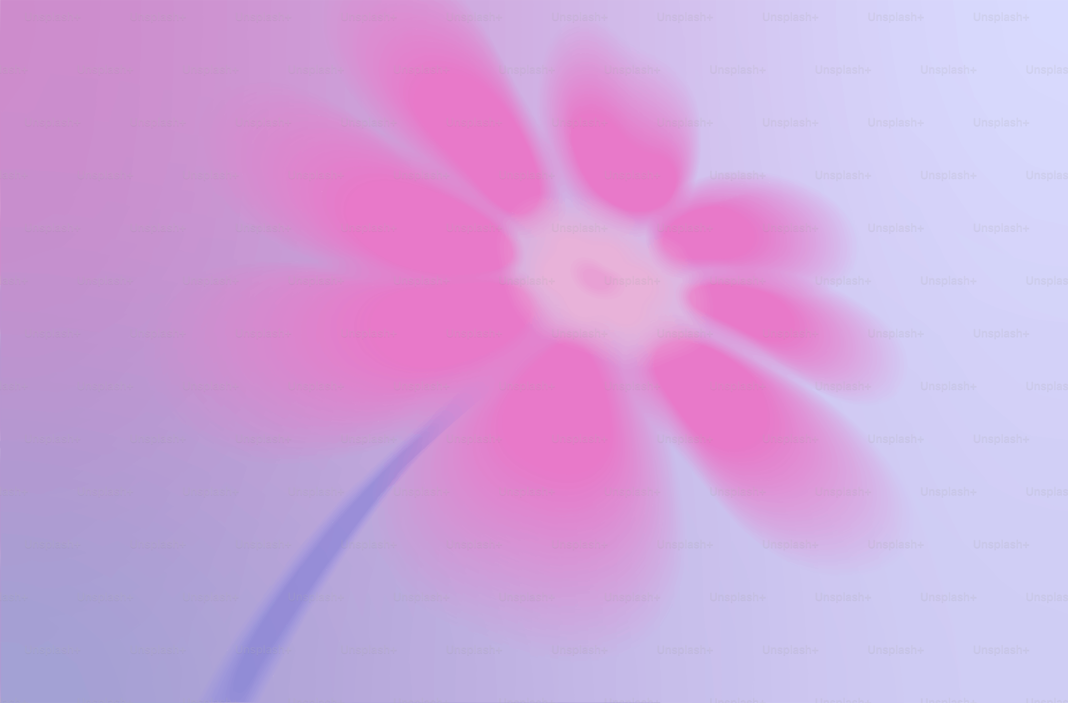 Une fleur rose pâle avec une tige violet clair.