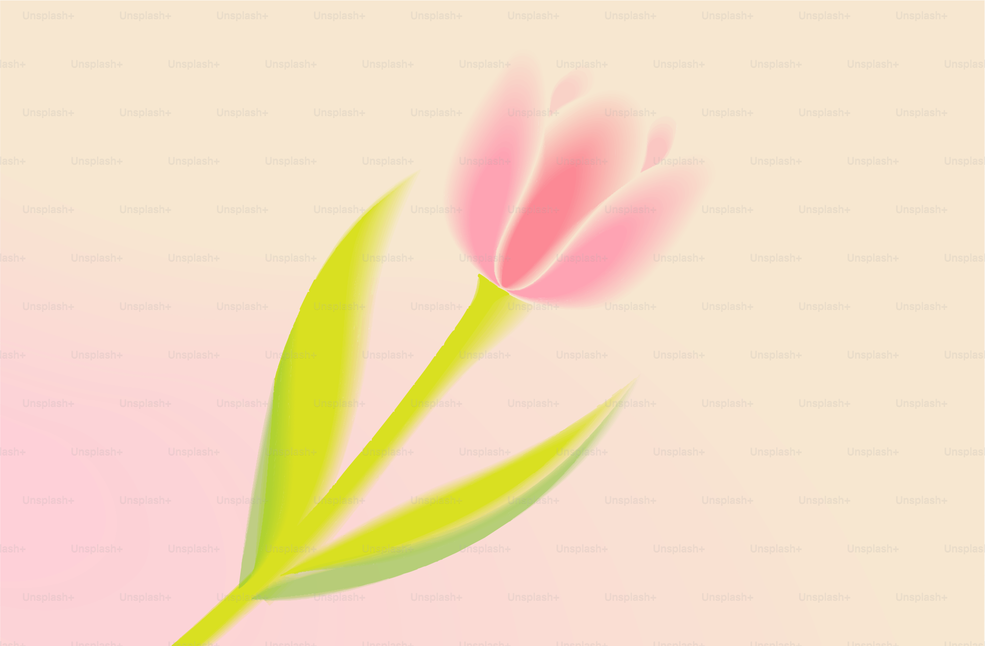A single pink tulip with green leaves. vector – Flower Image on Unsplash