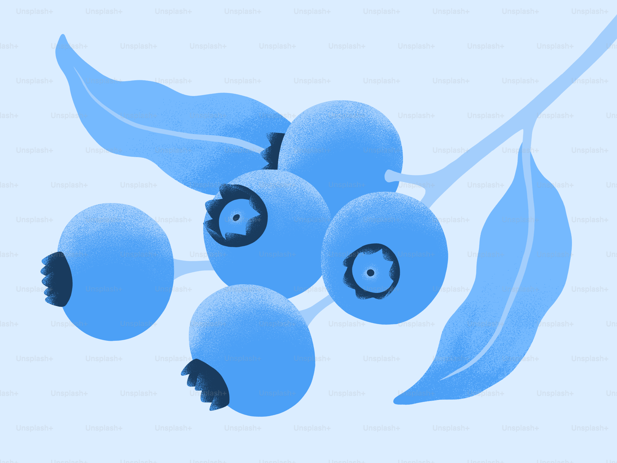 A branch with blueberries and leaves