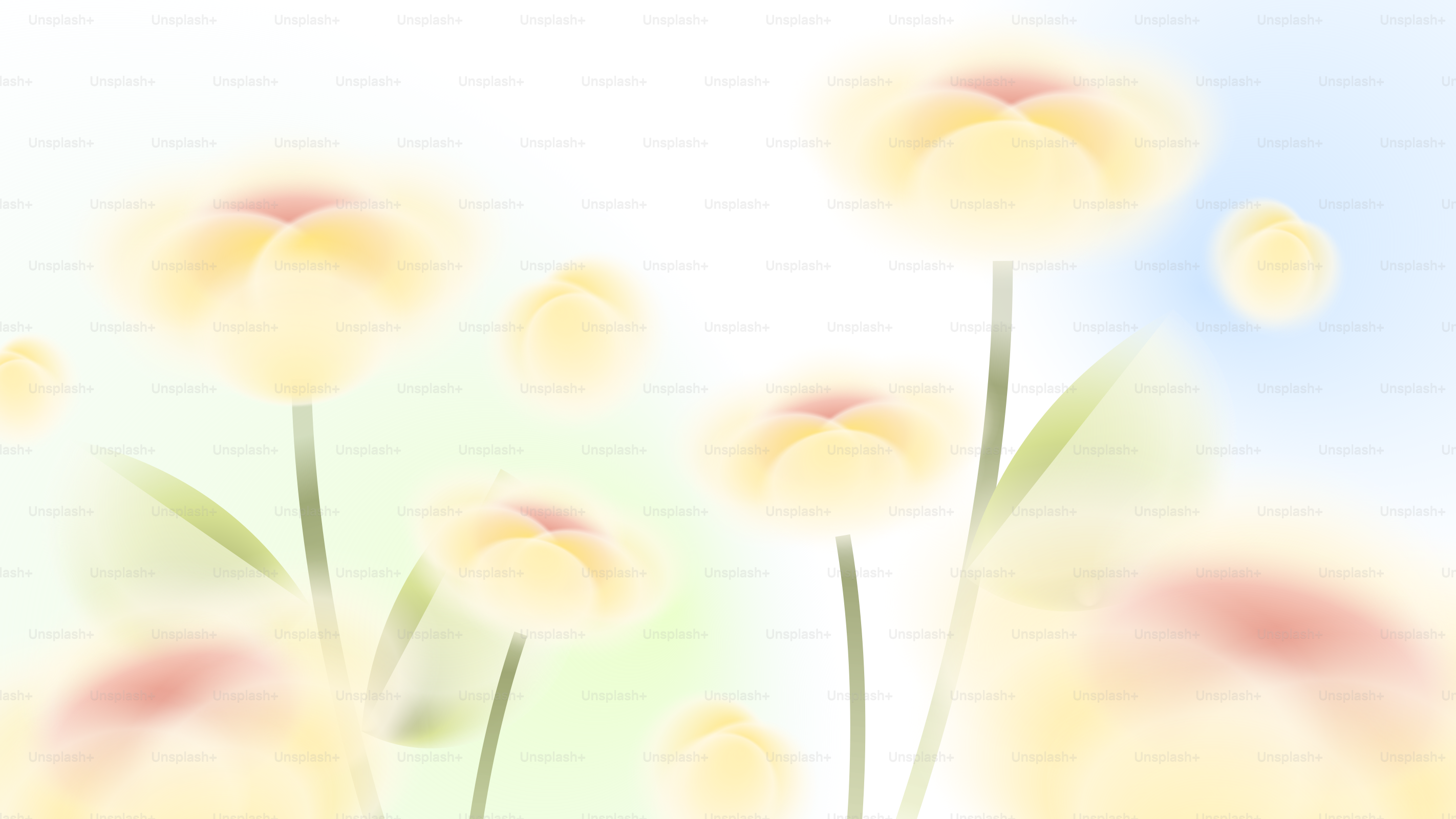 Soft yellow flowers with green stems against a bright background.