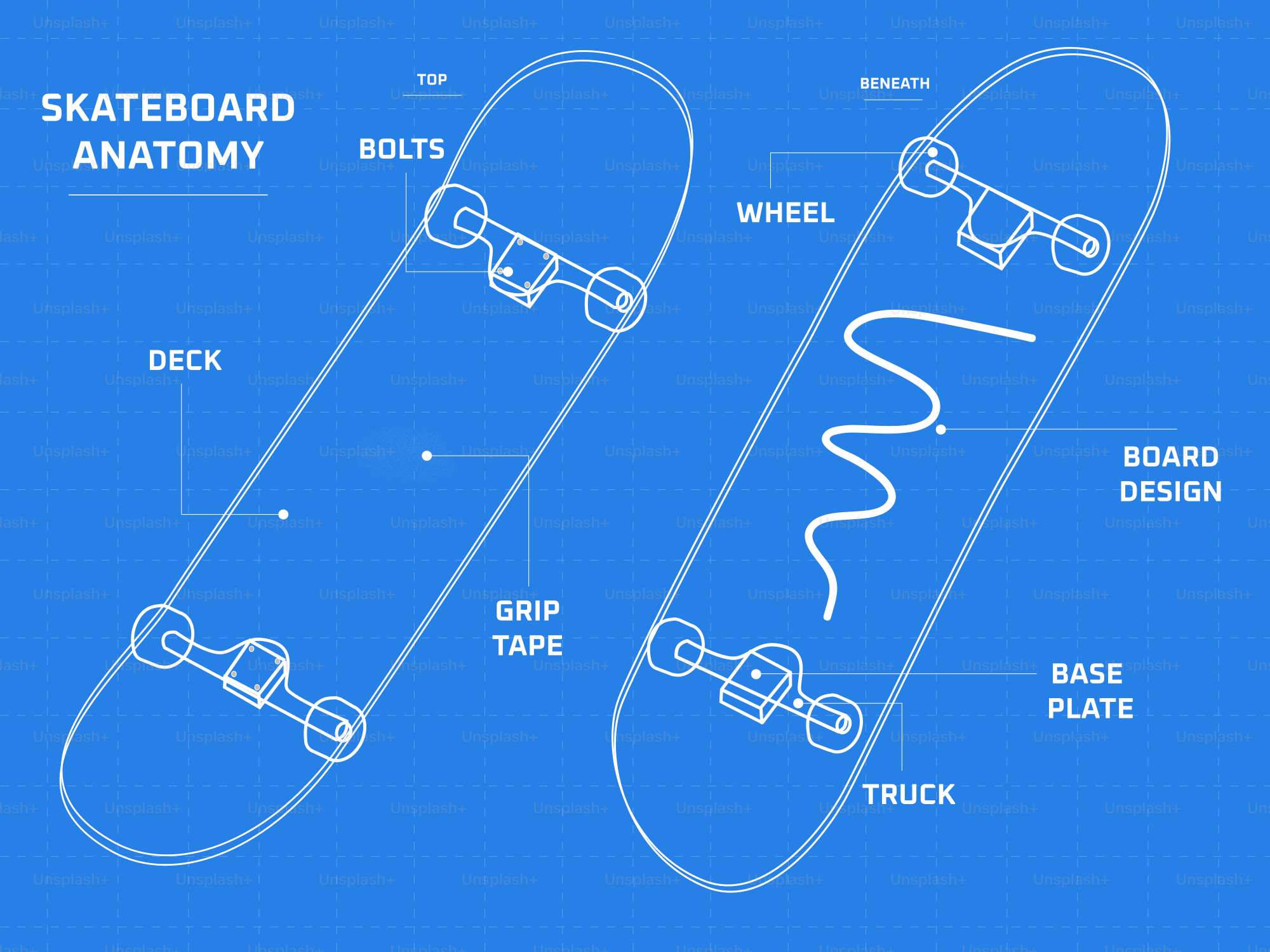 Blueprint diagram of skateboard anatomy with labels.