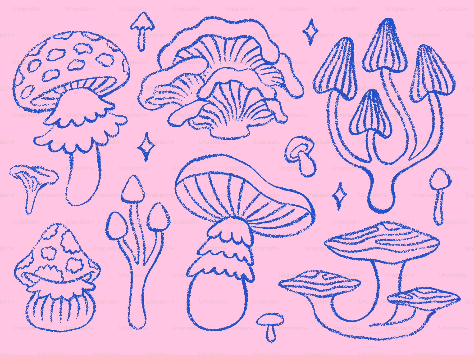 Various blue outline mushrooms on a pink background