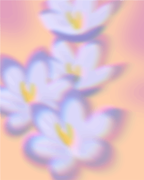 Soft focus of light purple crocuses against a peach background