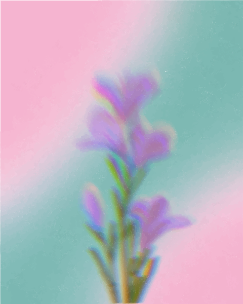 A single purple flower with a pastel background