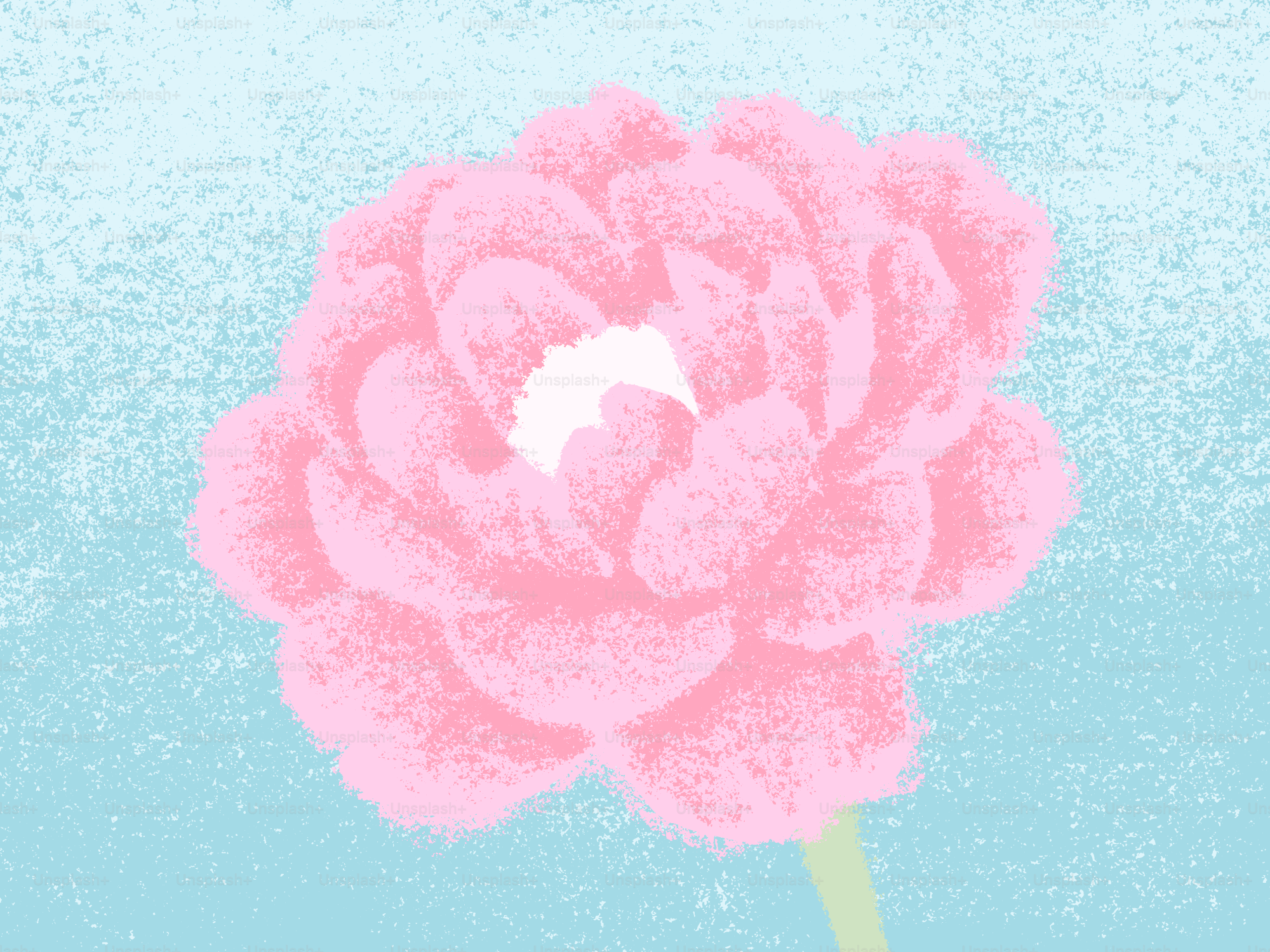 Eine sanfte rosa Pfingstrosenblüte auf hellblauem Hintergrund