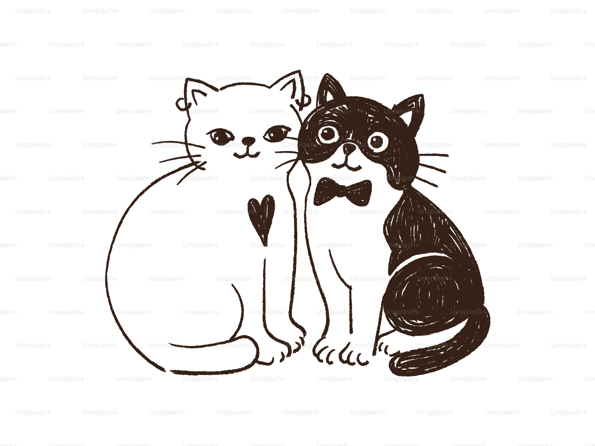 Two cats, one black and white, one white with heart