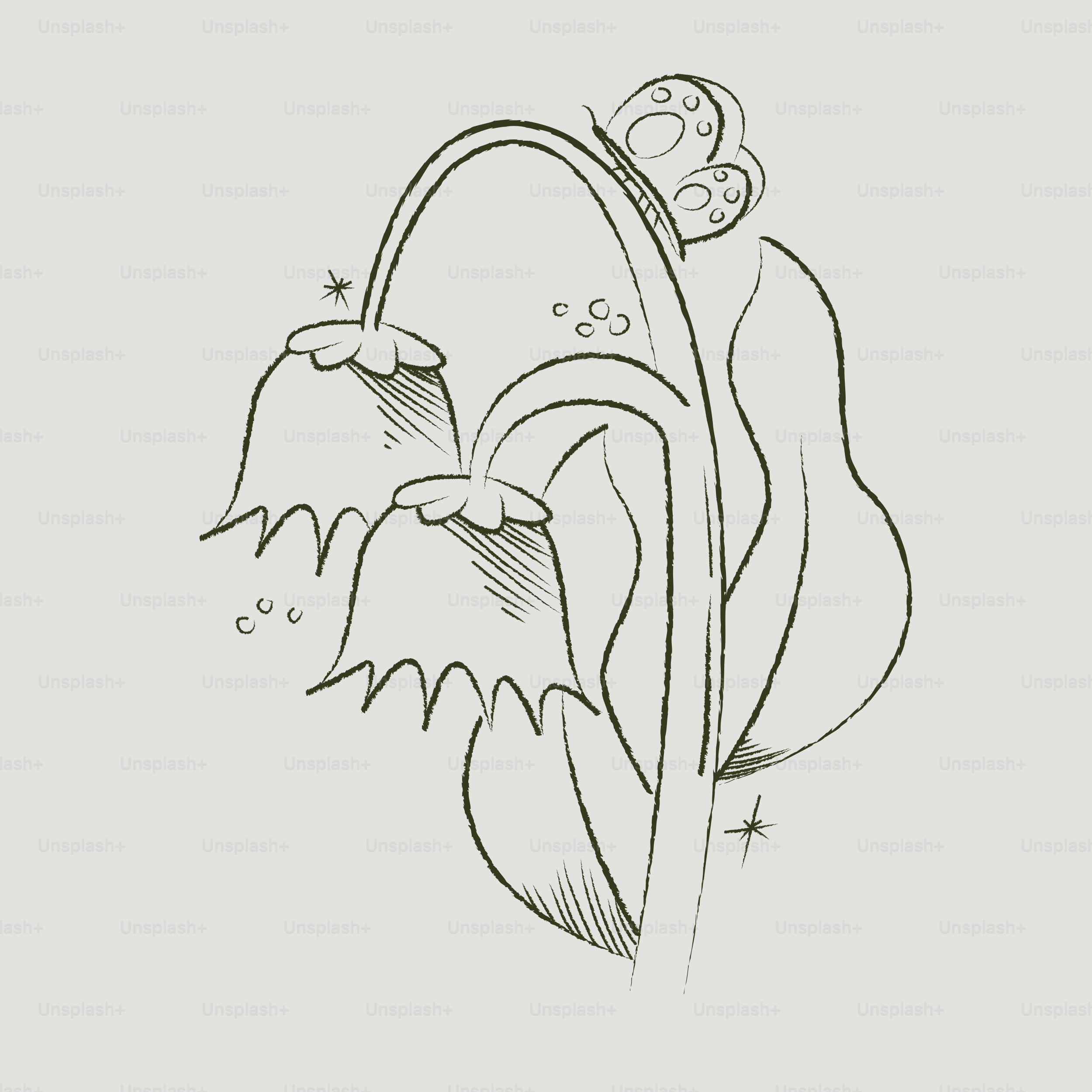 Sketch of three bell-shaped flowers with a leaf.