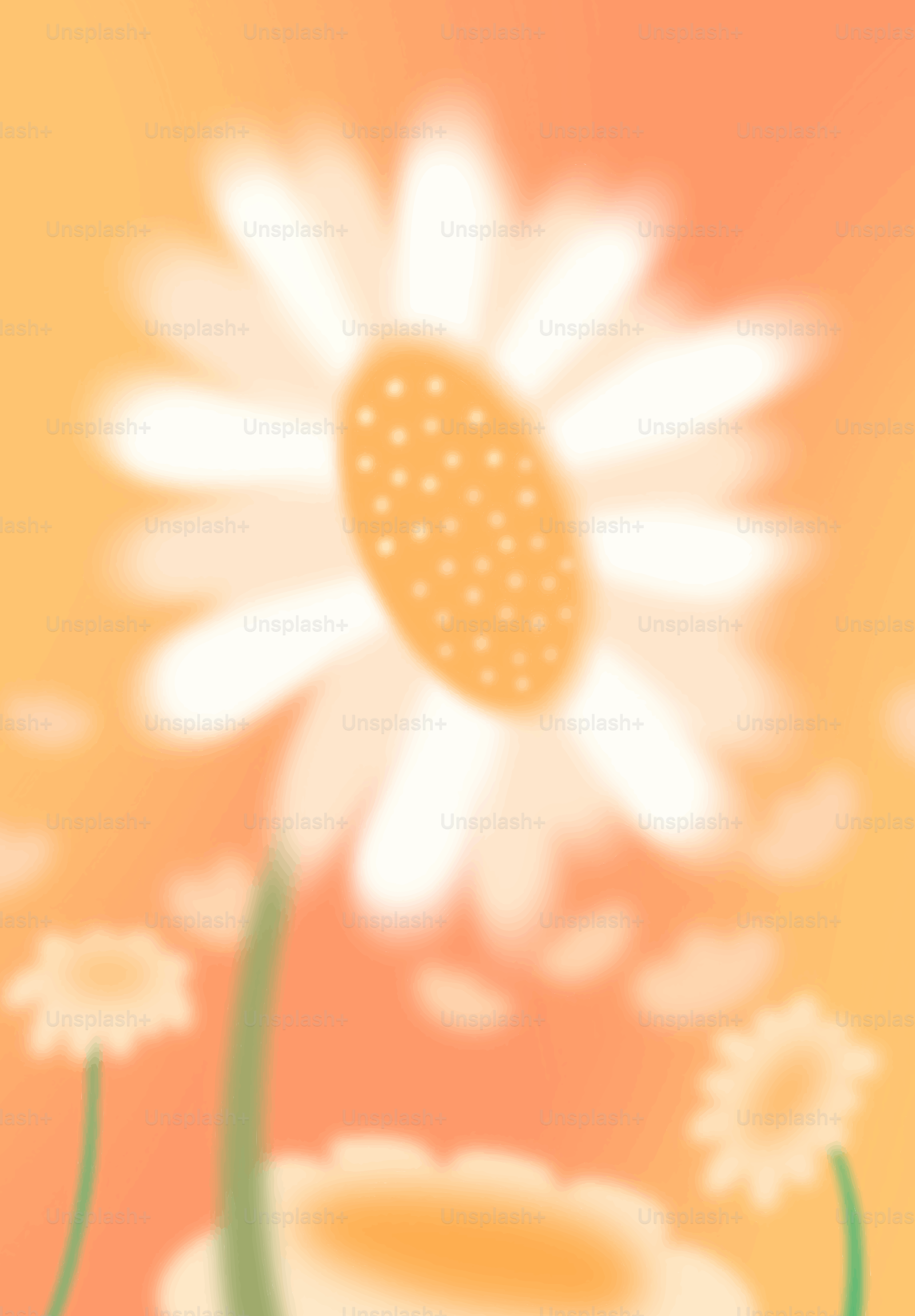 Blurred daisies against a warm orange background