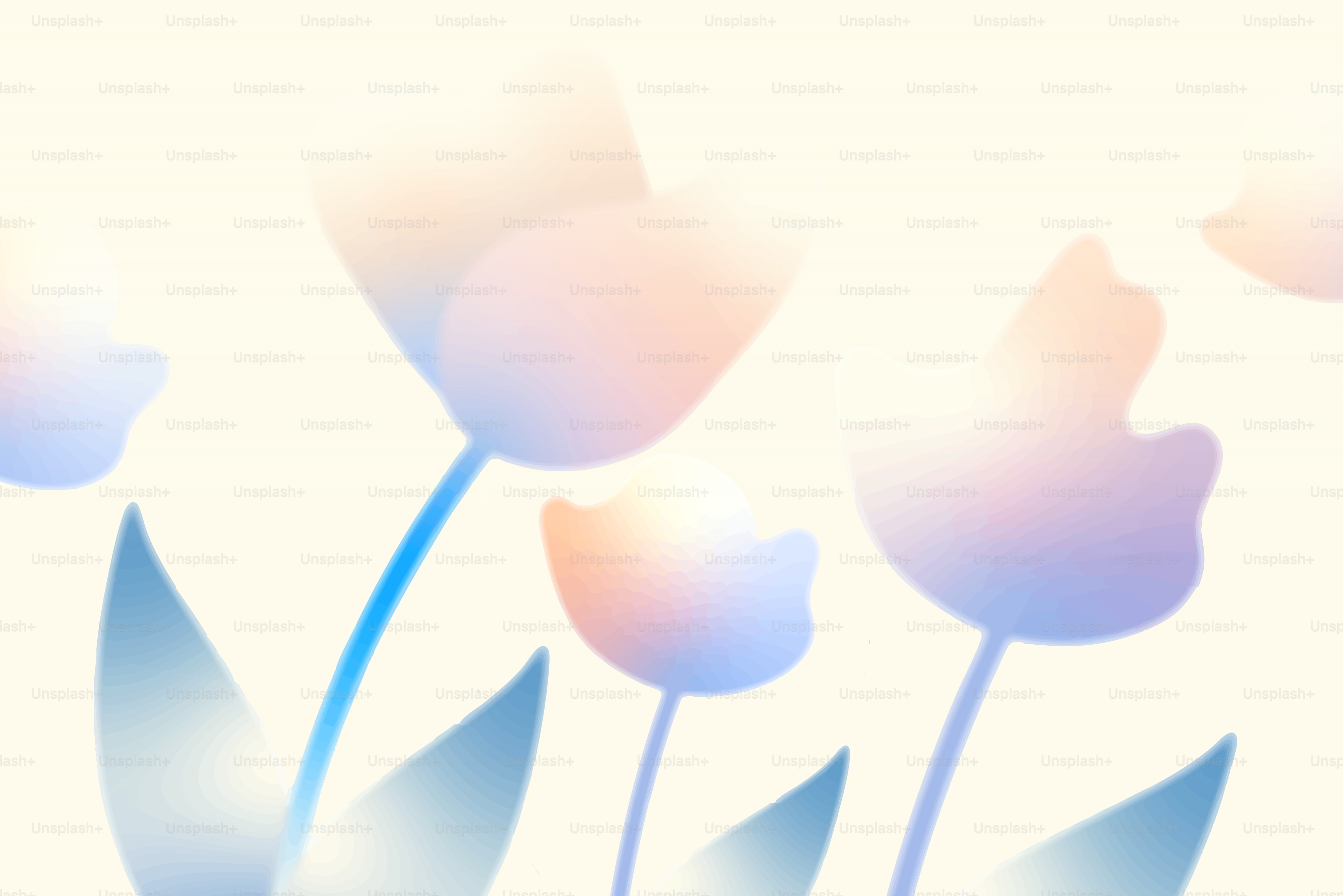 Tulipas suavemente iluminadas com folhas azul-esverdeadas.