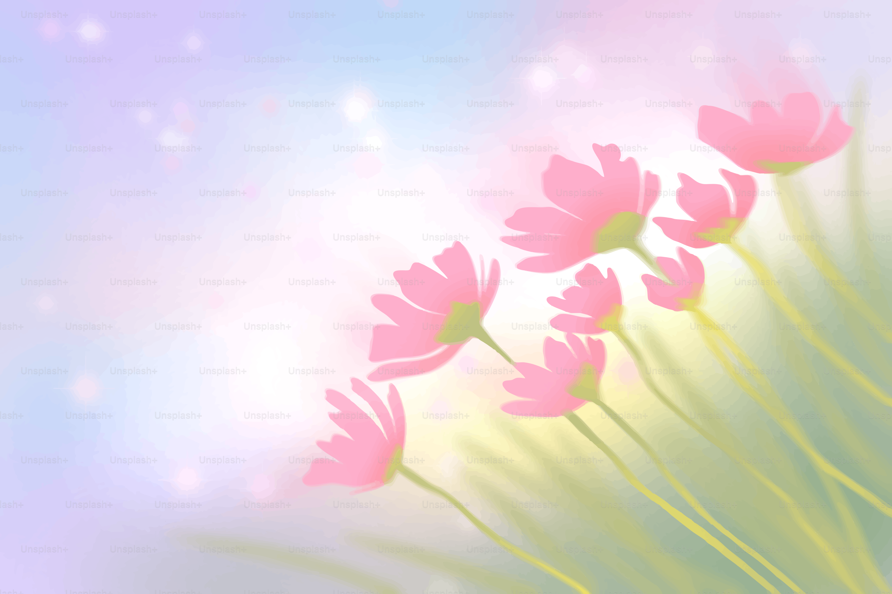 Las flores rosas del cosmos florecen en una luz suave y pastel