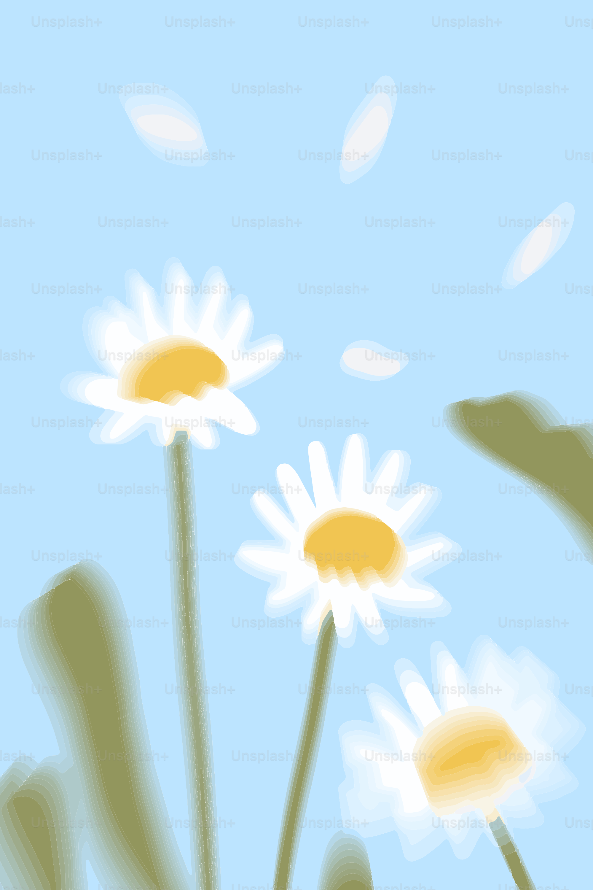 Three white daisies with yellow centers against blue sky.