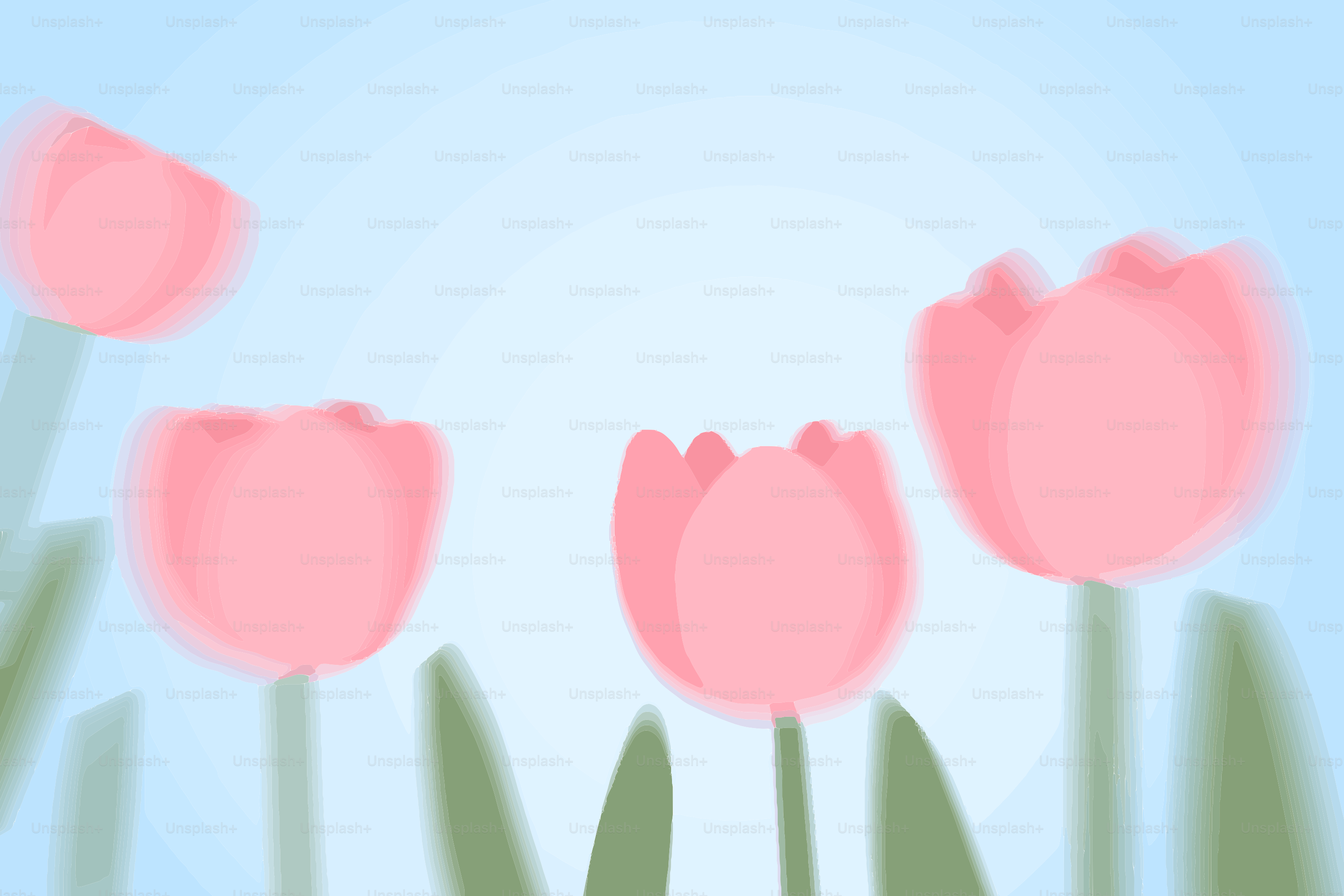 Pink tulips bloom against a soft blue sky