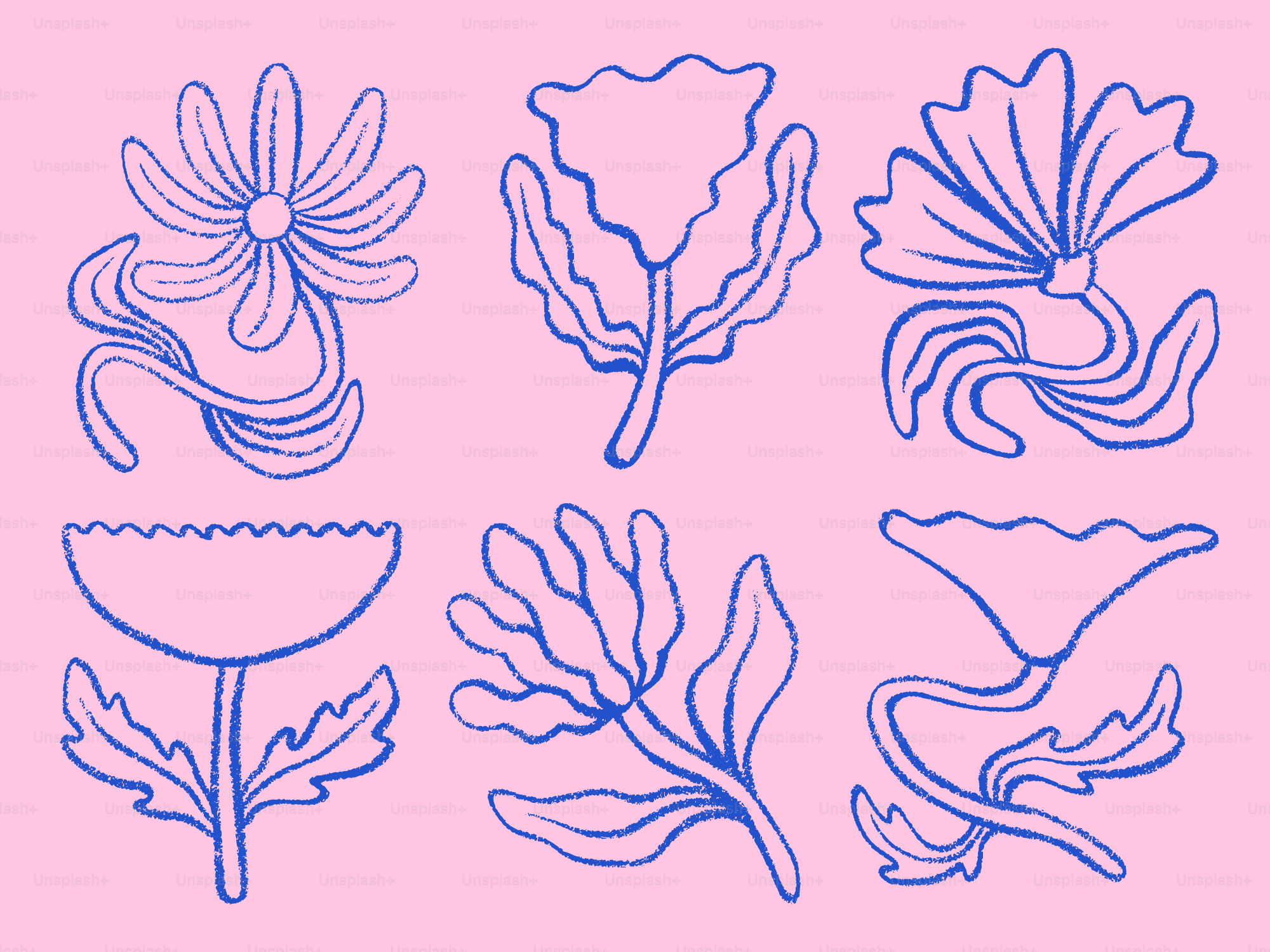 Six blue line drawings of stylized flowers on pink background.