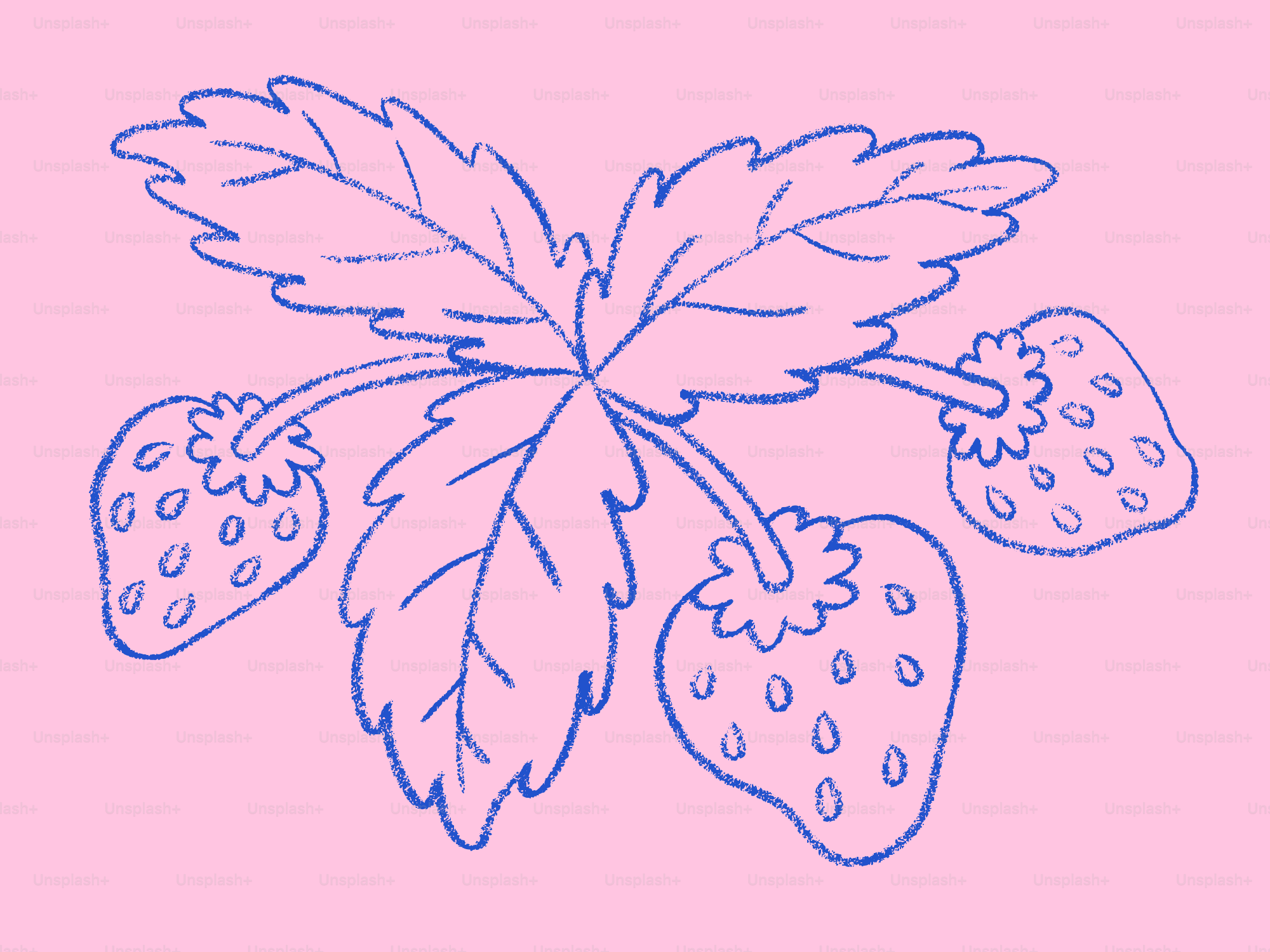 Blue line drawing of strawberries and leaves on pink background