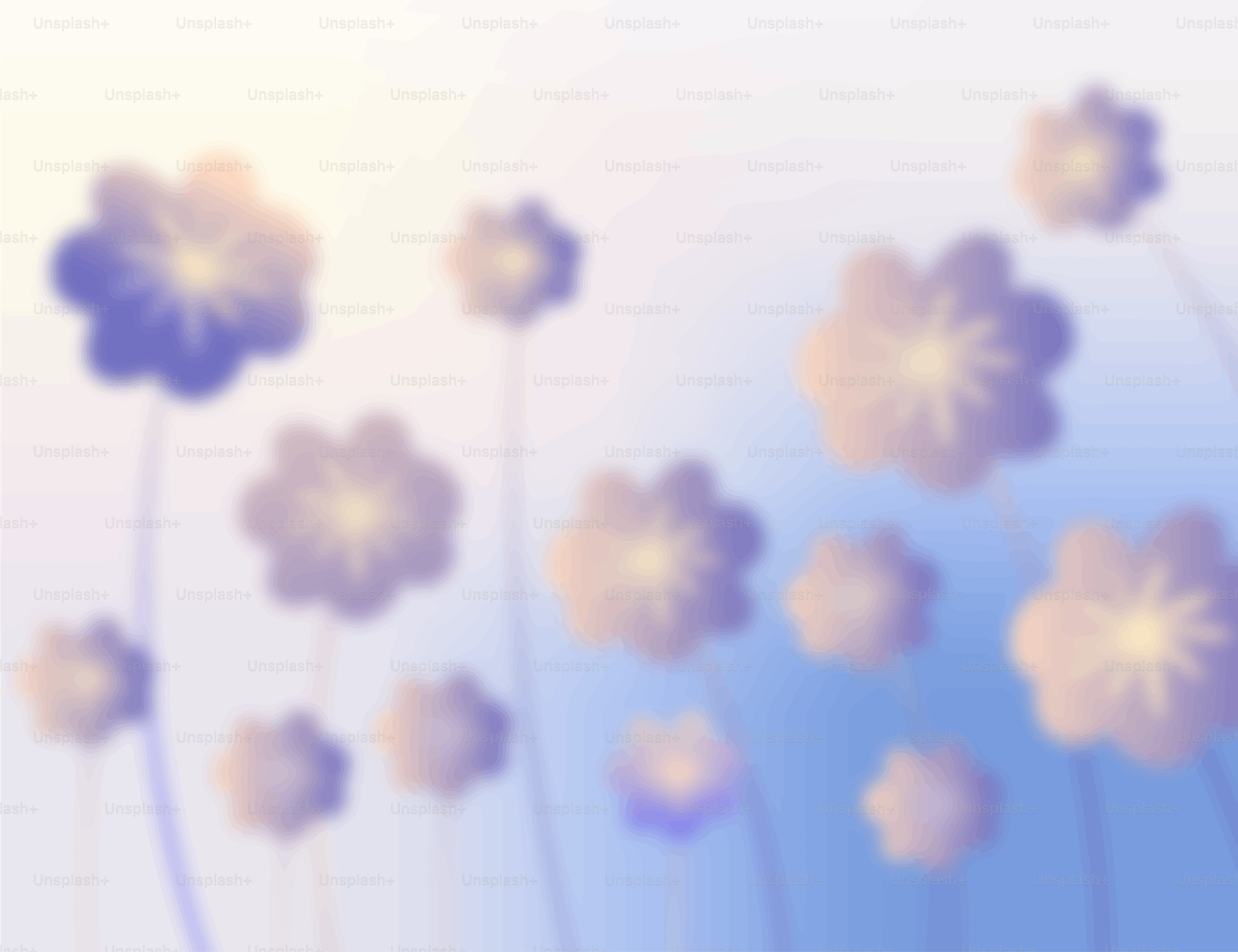 Soft purple flowers against a blue and yellow gradient.