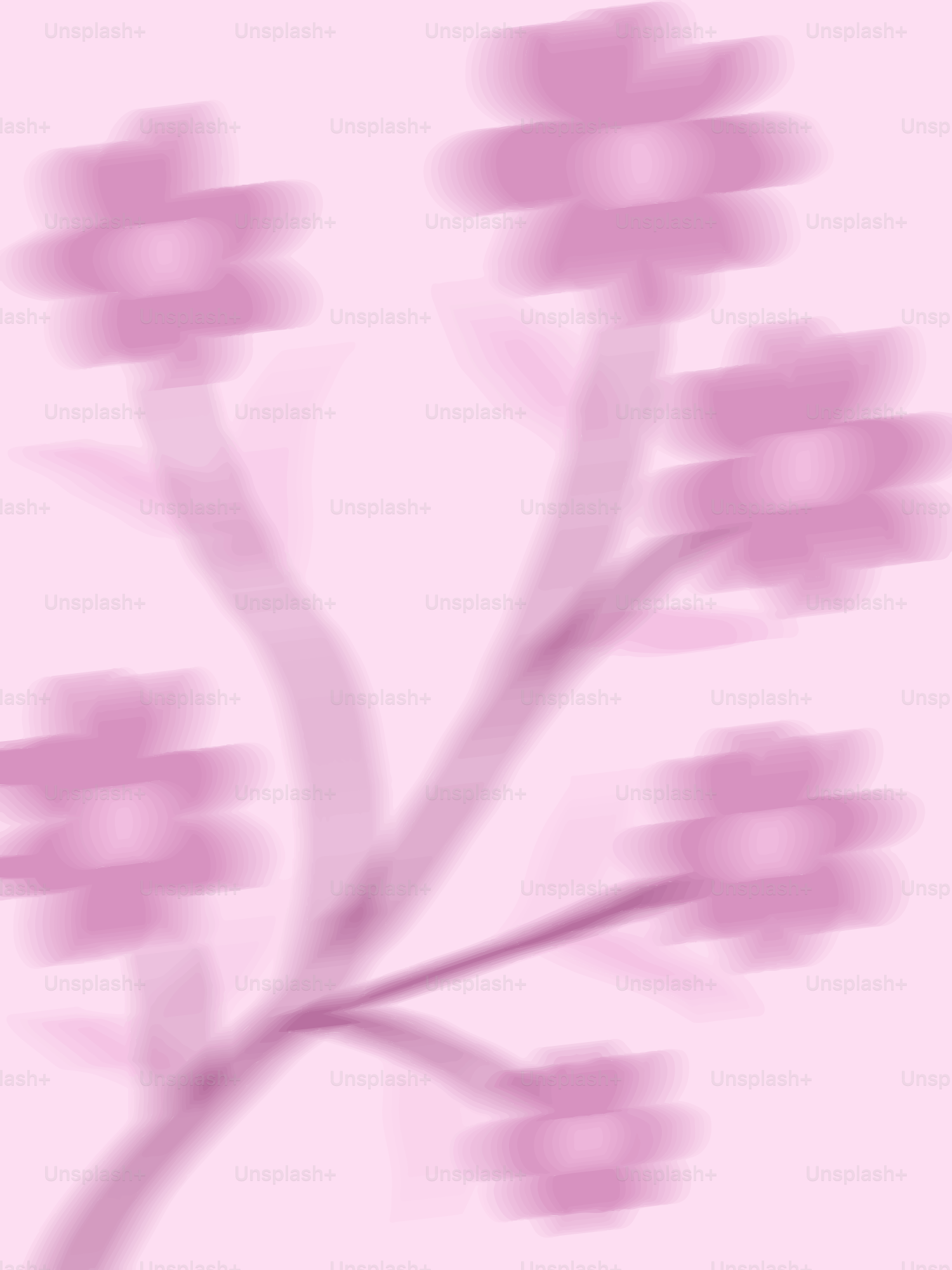 Soft pink flowers on a light pink background