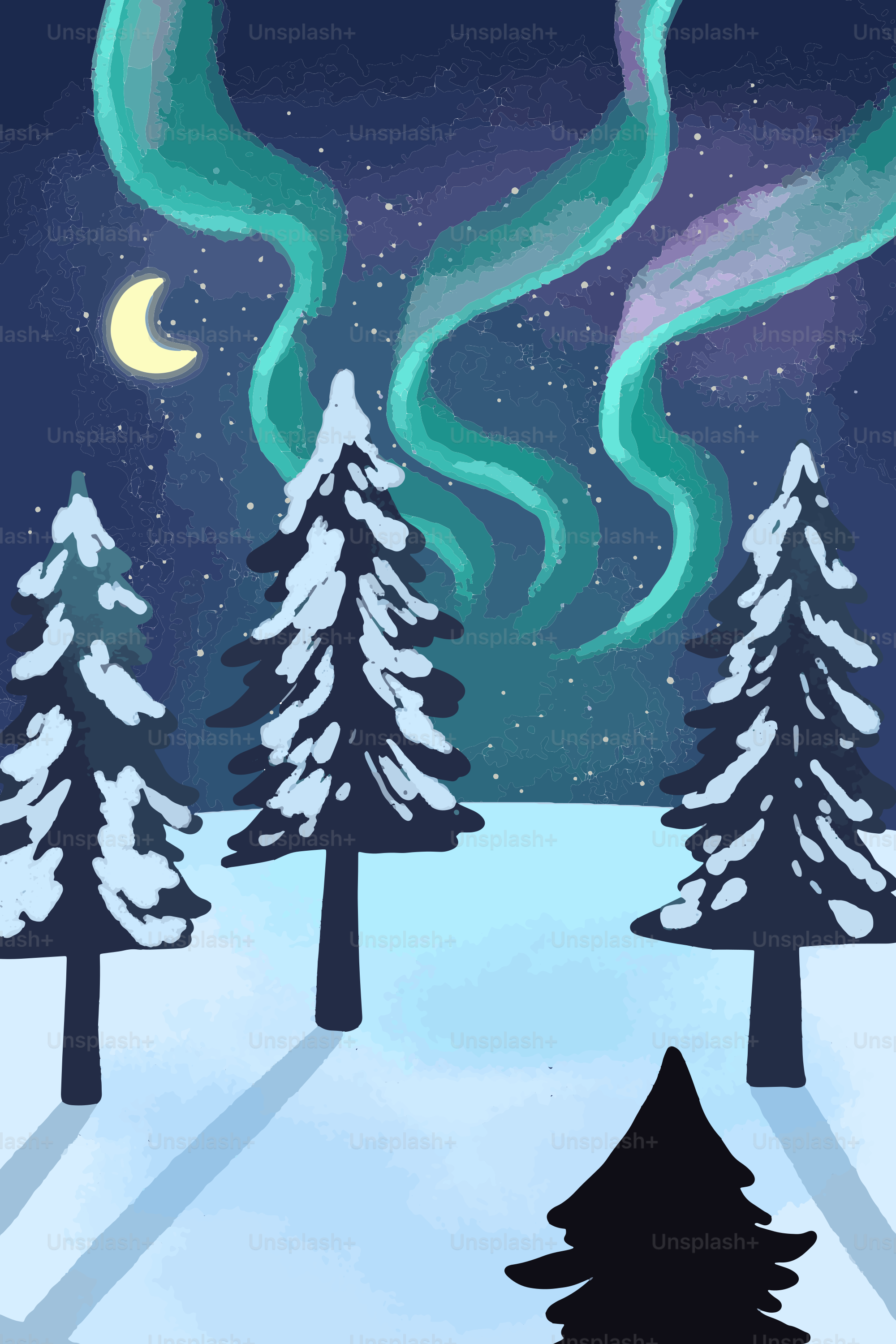 Aurores boréales au-dessus de pins enneigés la nuit.