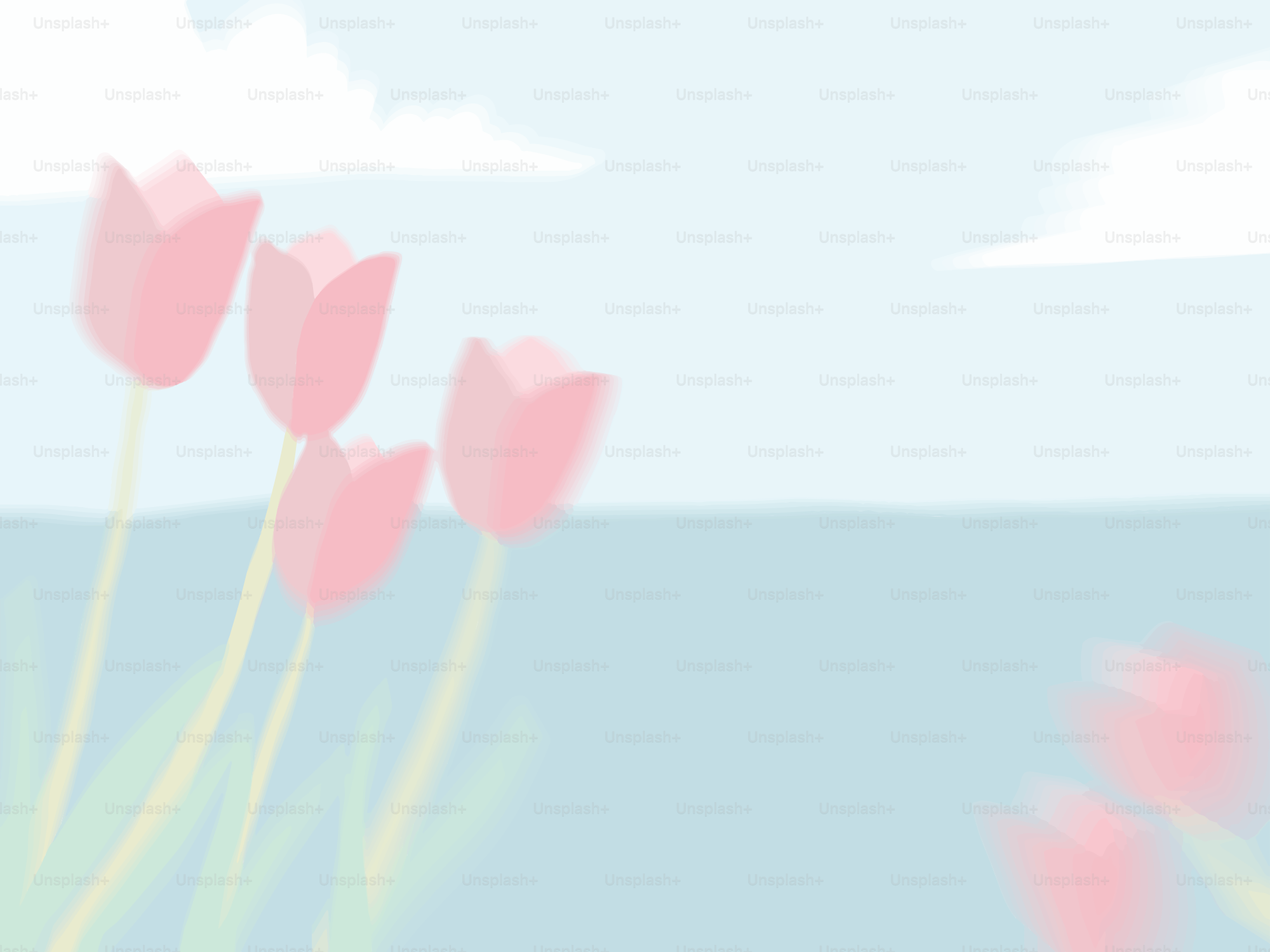 Tulipanes rosas florecen contra un cielo azul suave