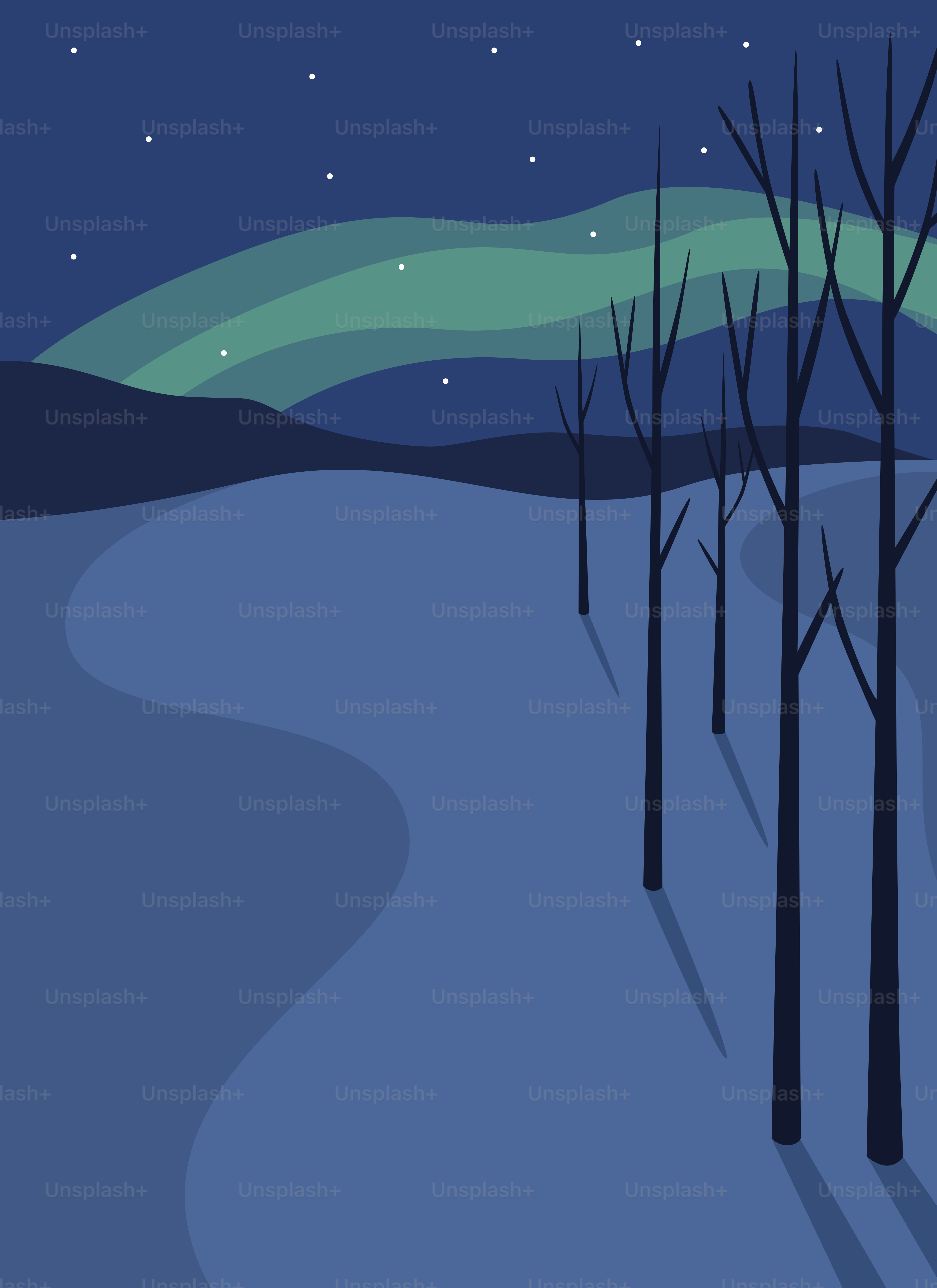 Winter landscape with aurora borealis and bare trees