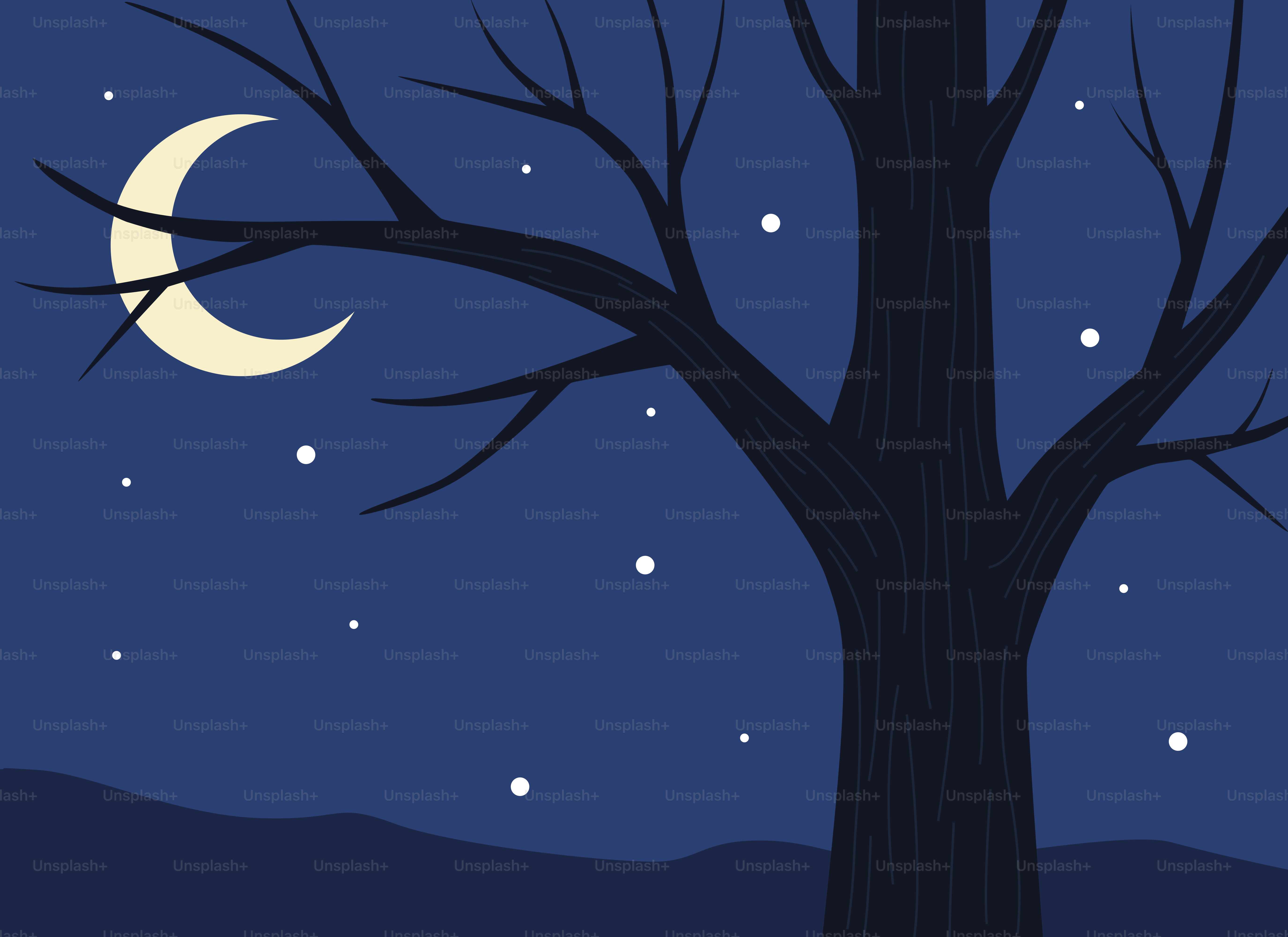 Crescent moon in a starry night sky behind tree