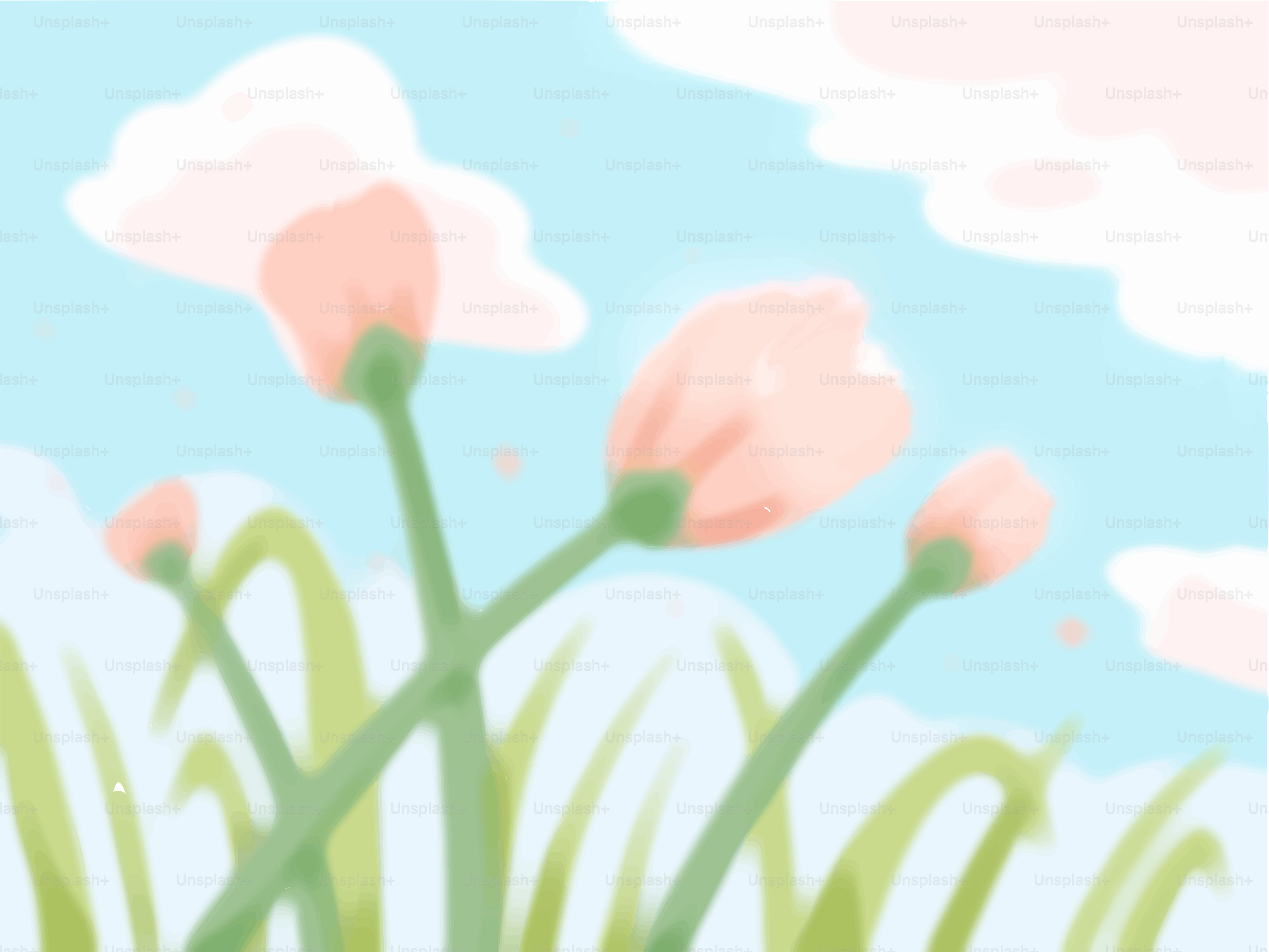 Fiori rosa tenue sbocciano sotto un cielo azzurro nuvoloso.