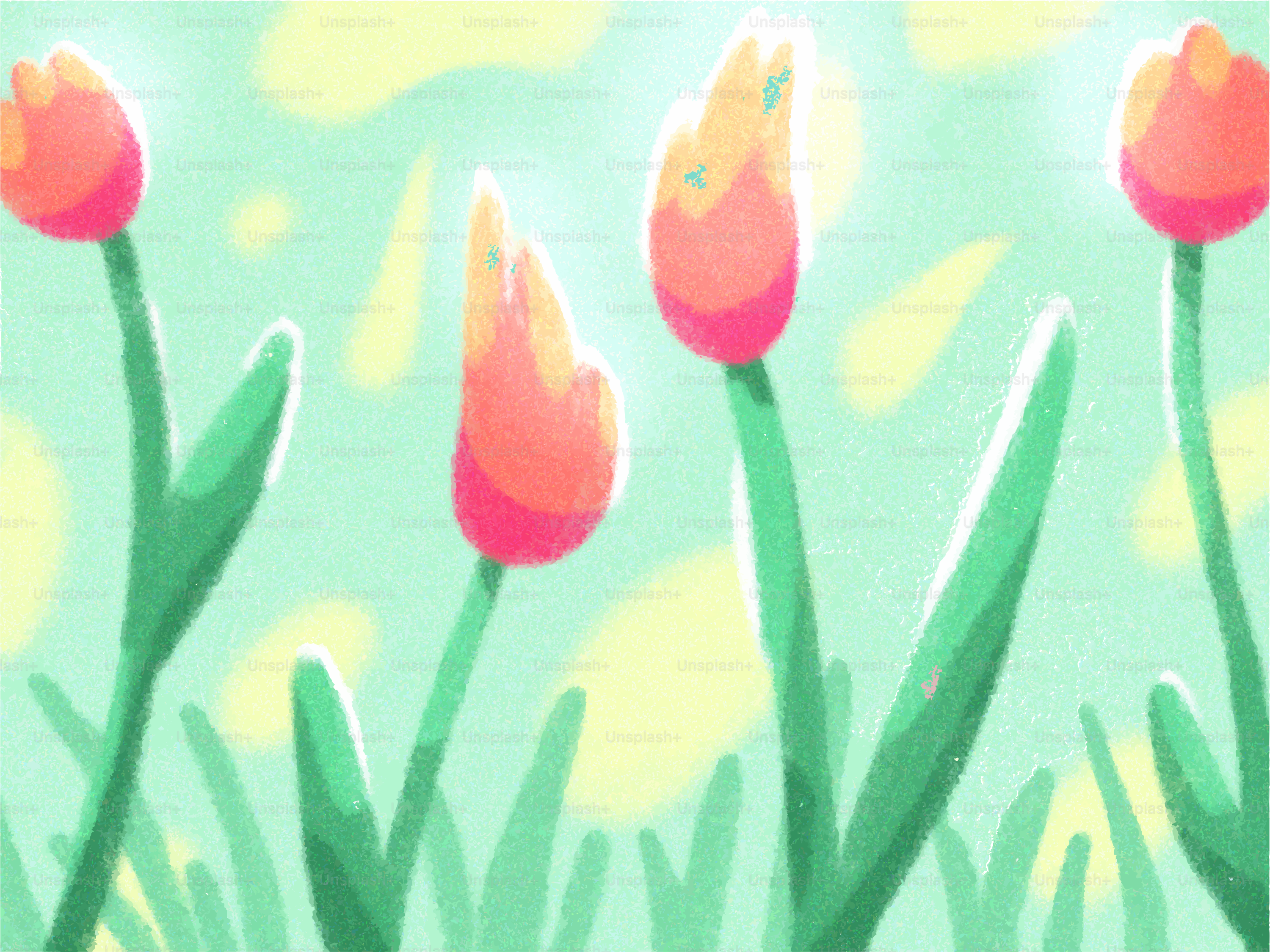 Quattro tulipani in fiore con steli e foglie verdi.