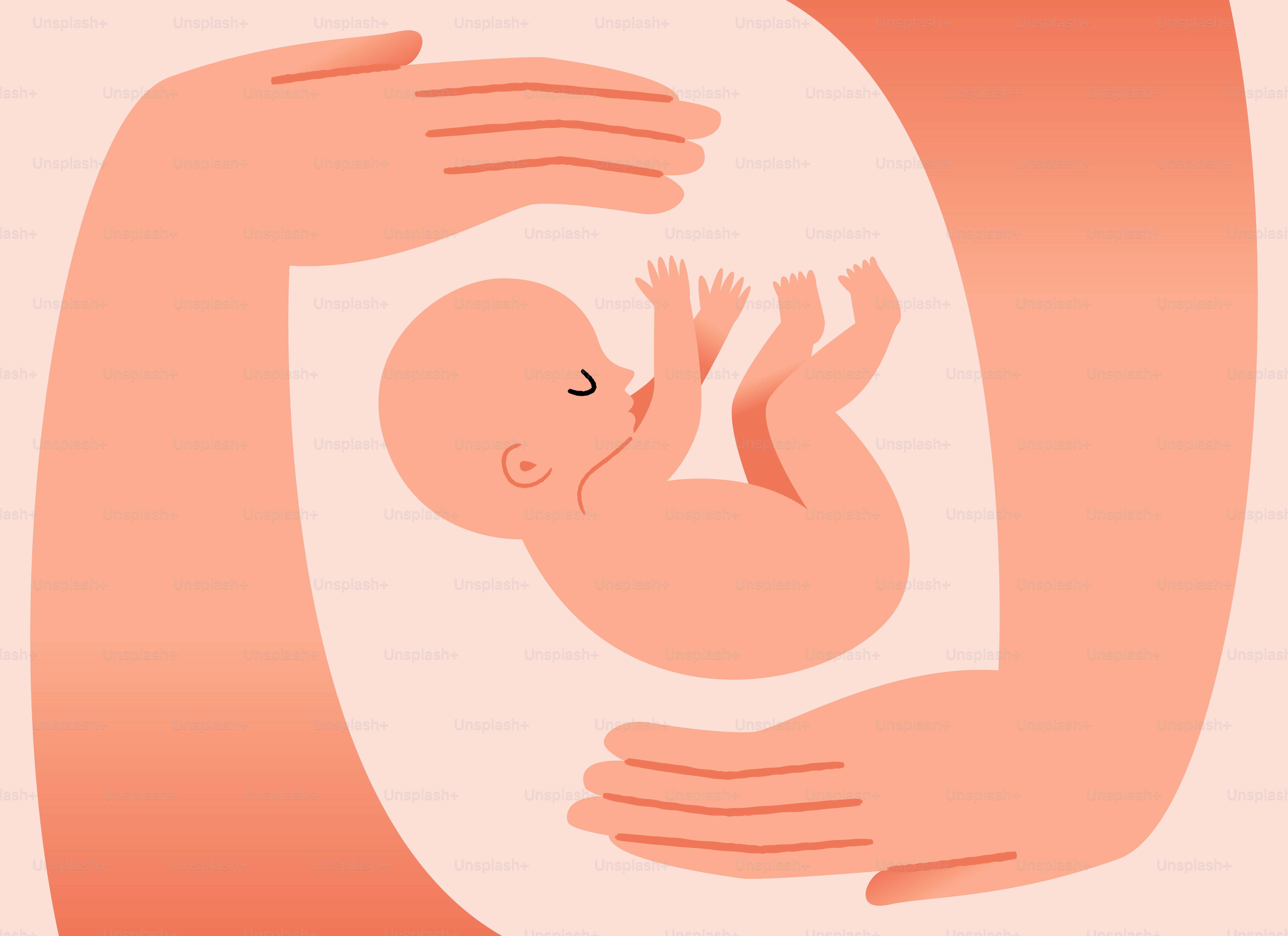 Hands cradling a sleeping newborn baby in womb.