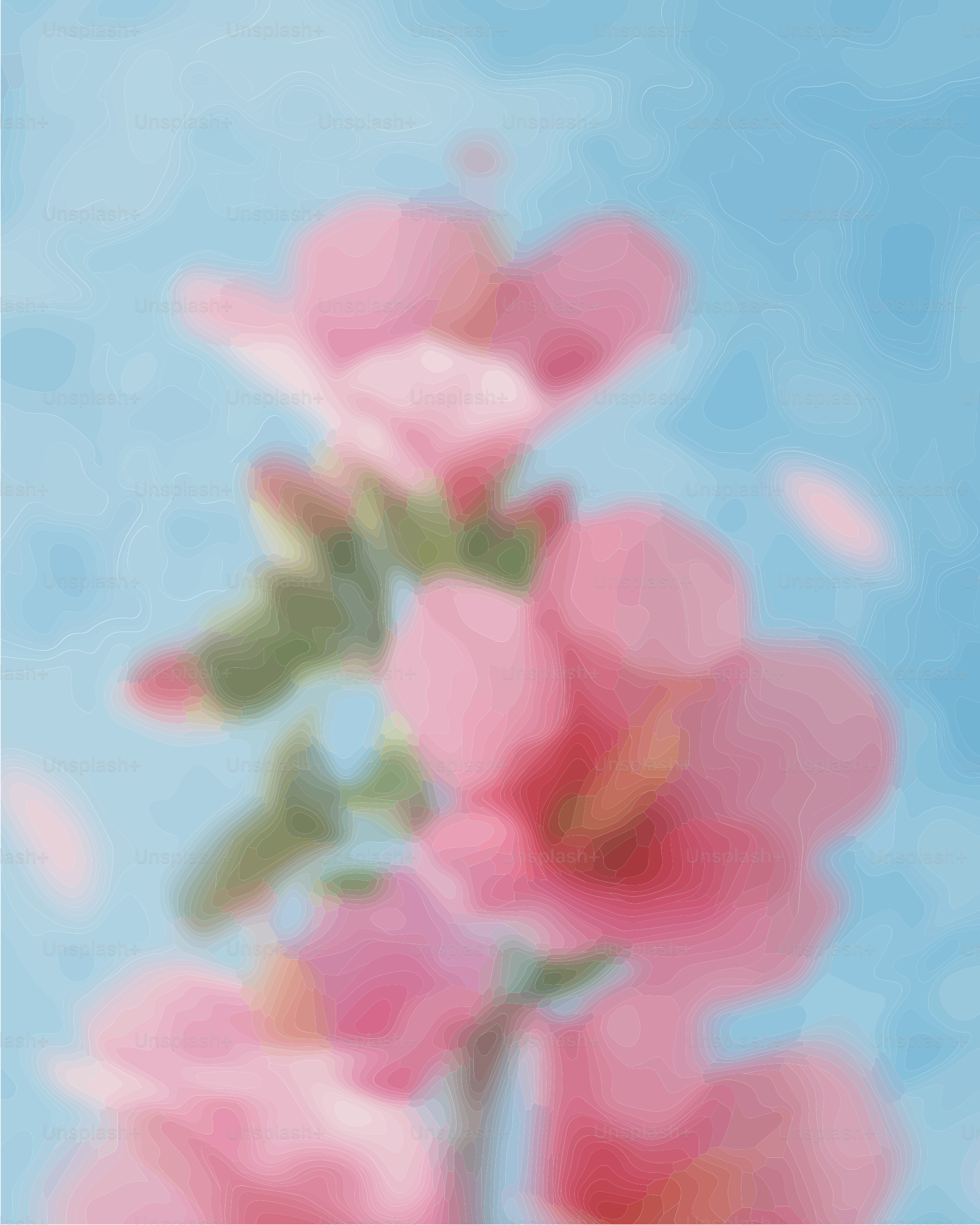 Pink flowers with a blue background
