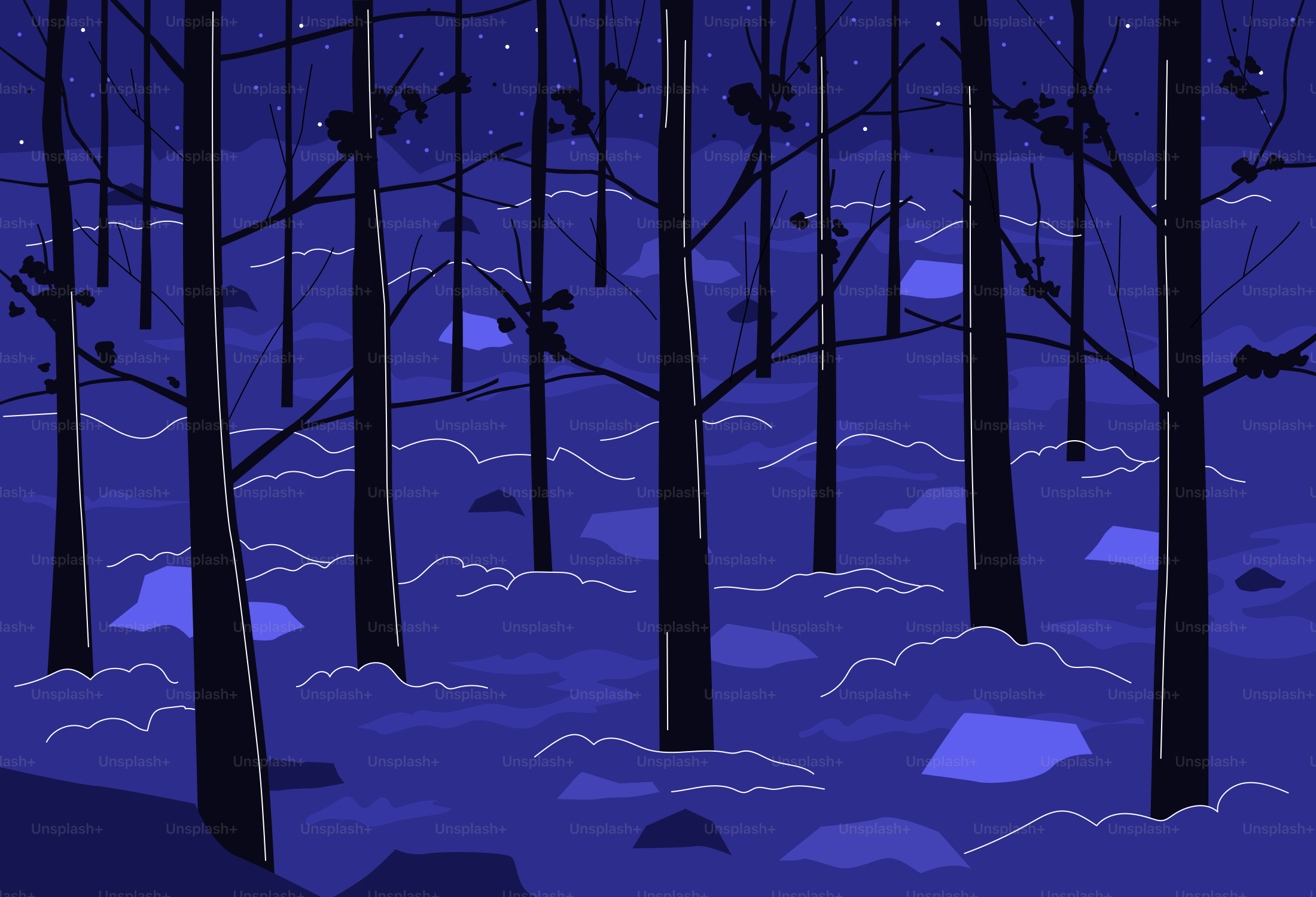 裸の木々と光る地面が広がる暗い森のシーン