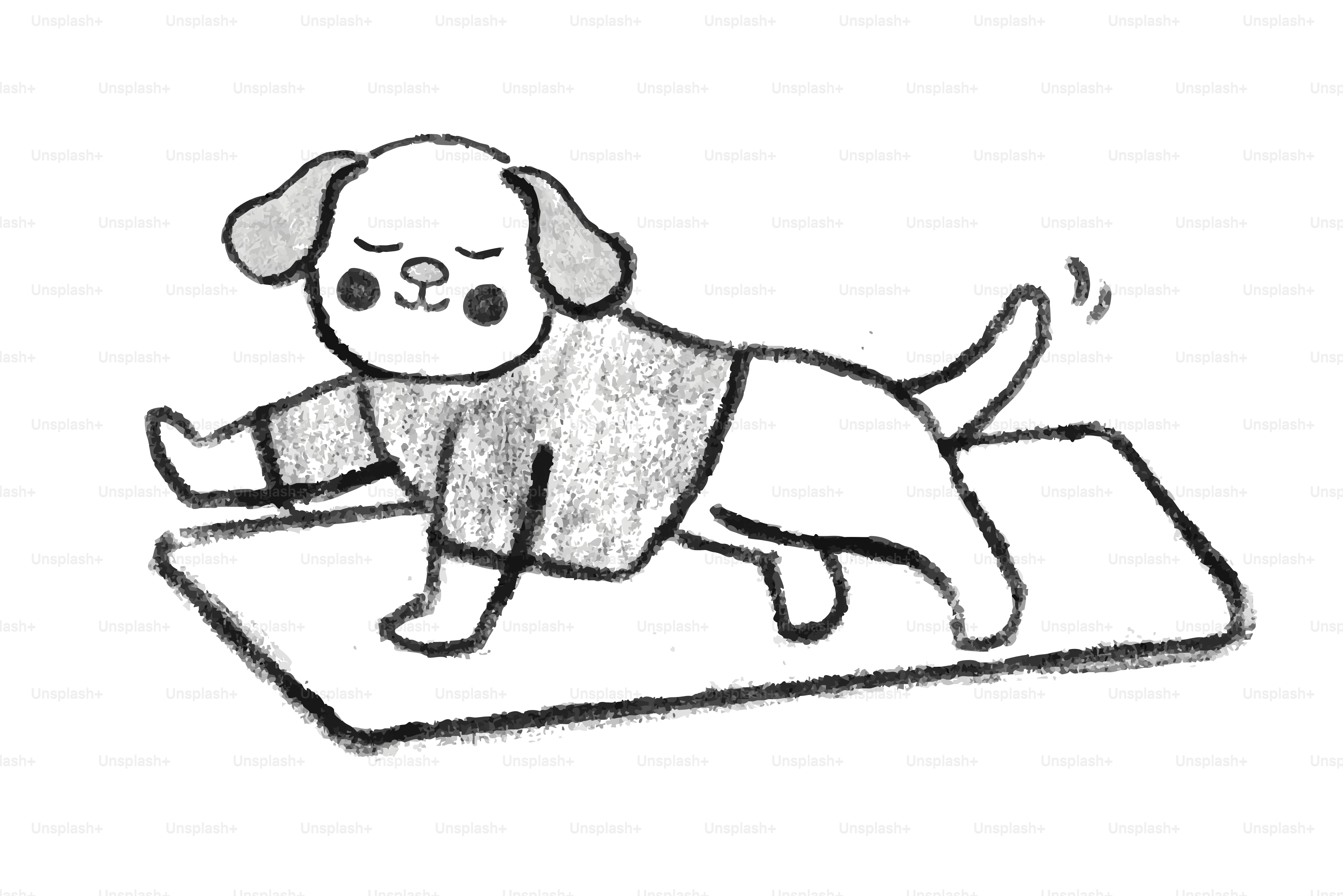 A dog in a shirt doing yoga on a mat