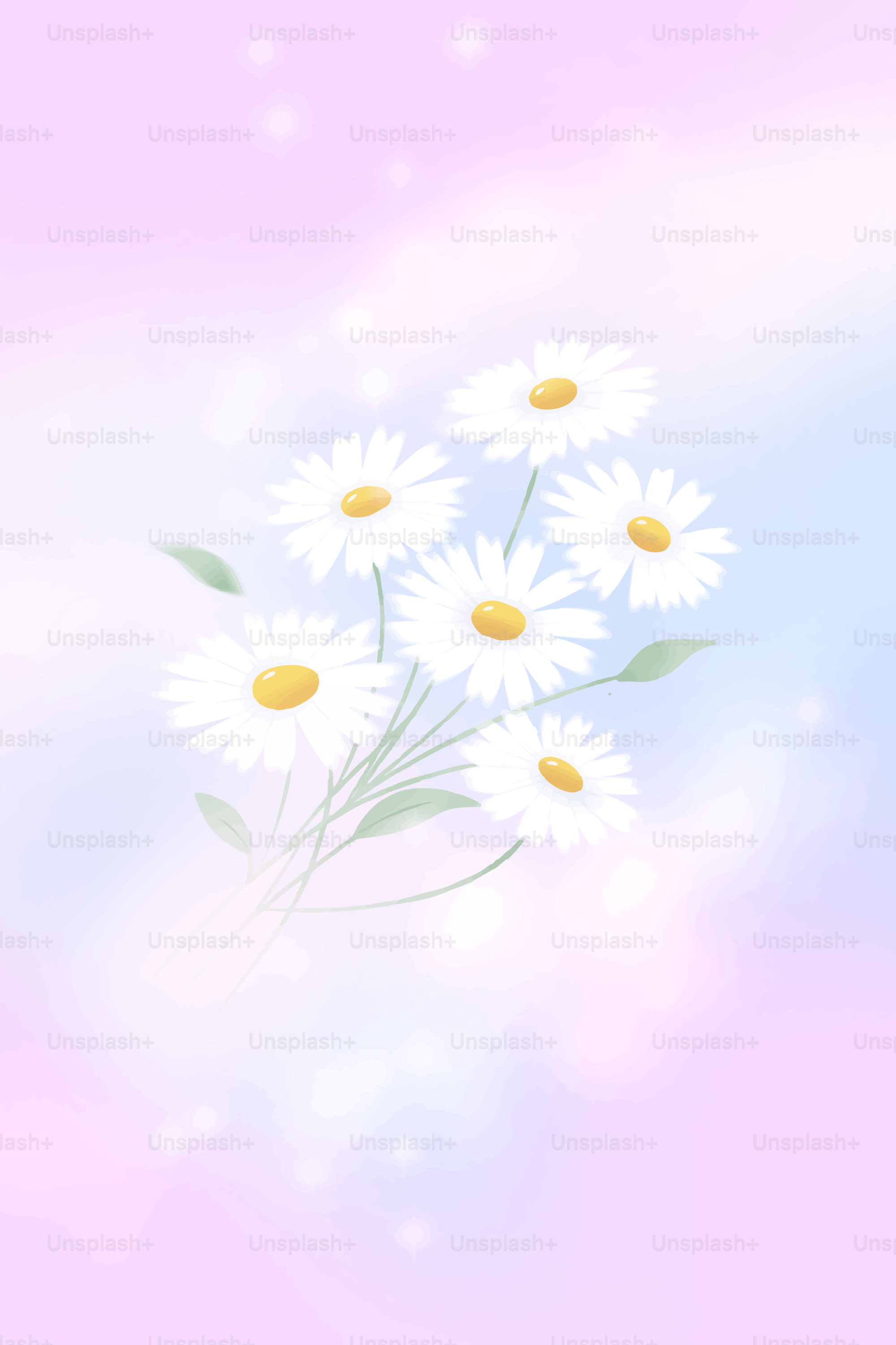 A bouquet of white daisies with soft pastel background.