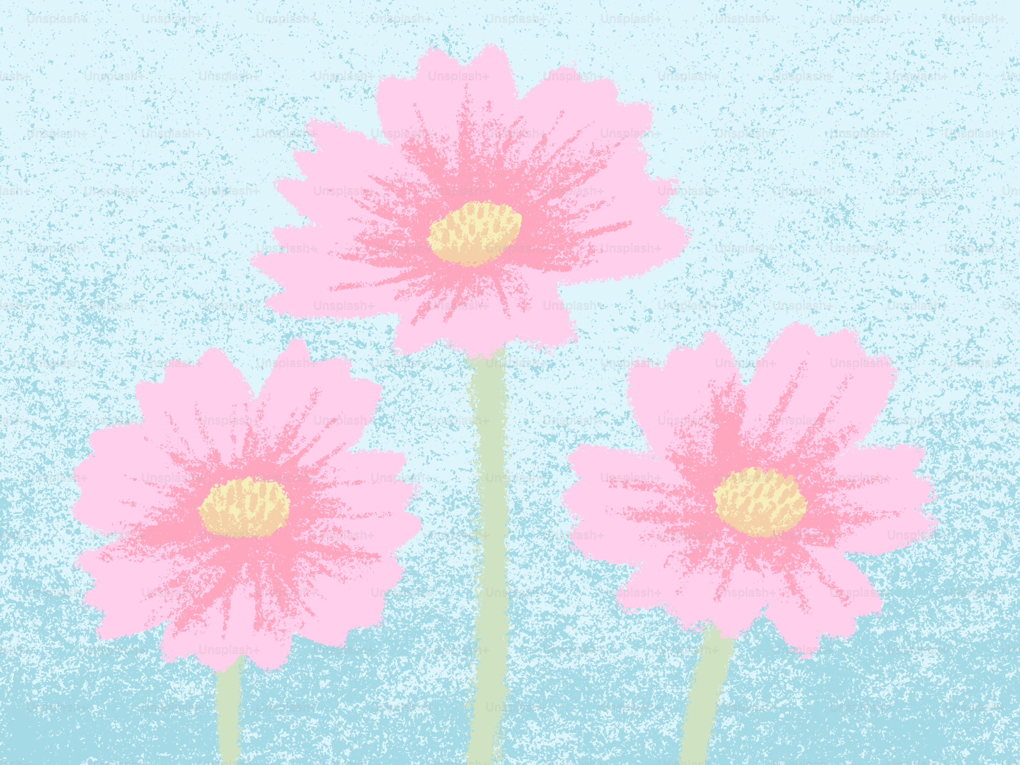 Tres flores rosas sobre fondo azul