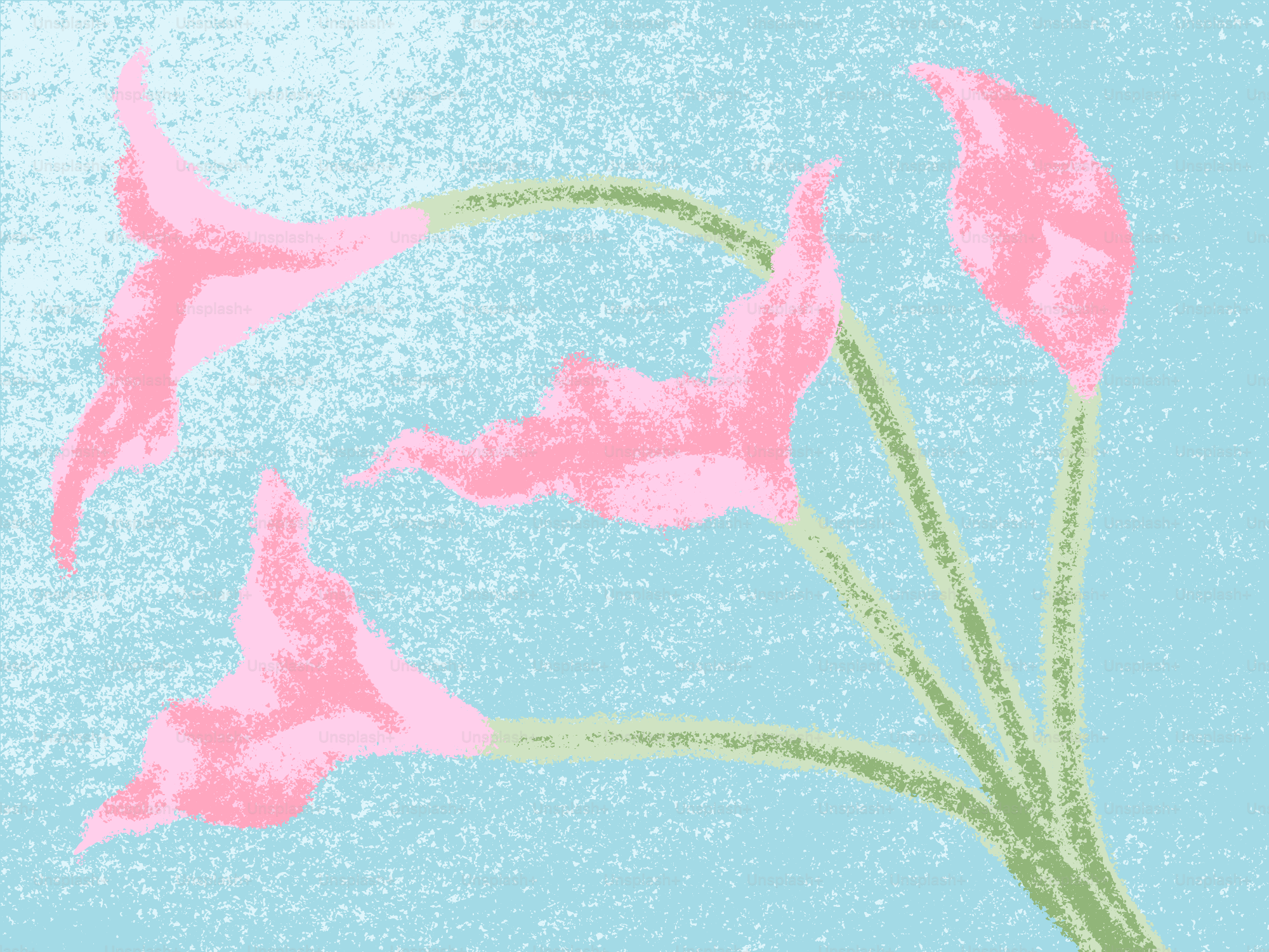 Four pink calla lilies on a blue background.