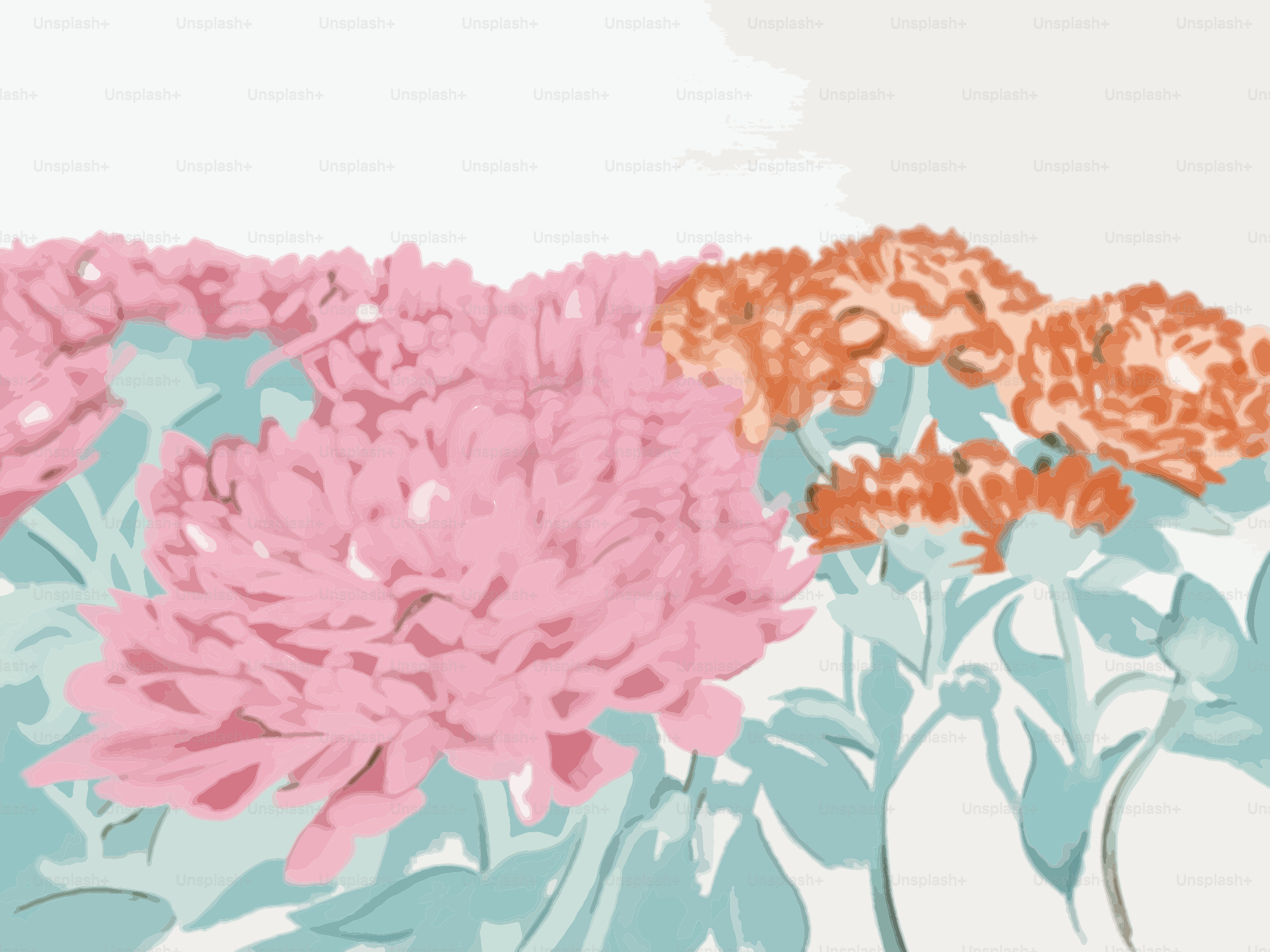 Des chrysanthèmes roses et orange fleurissent dans un champ.