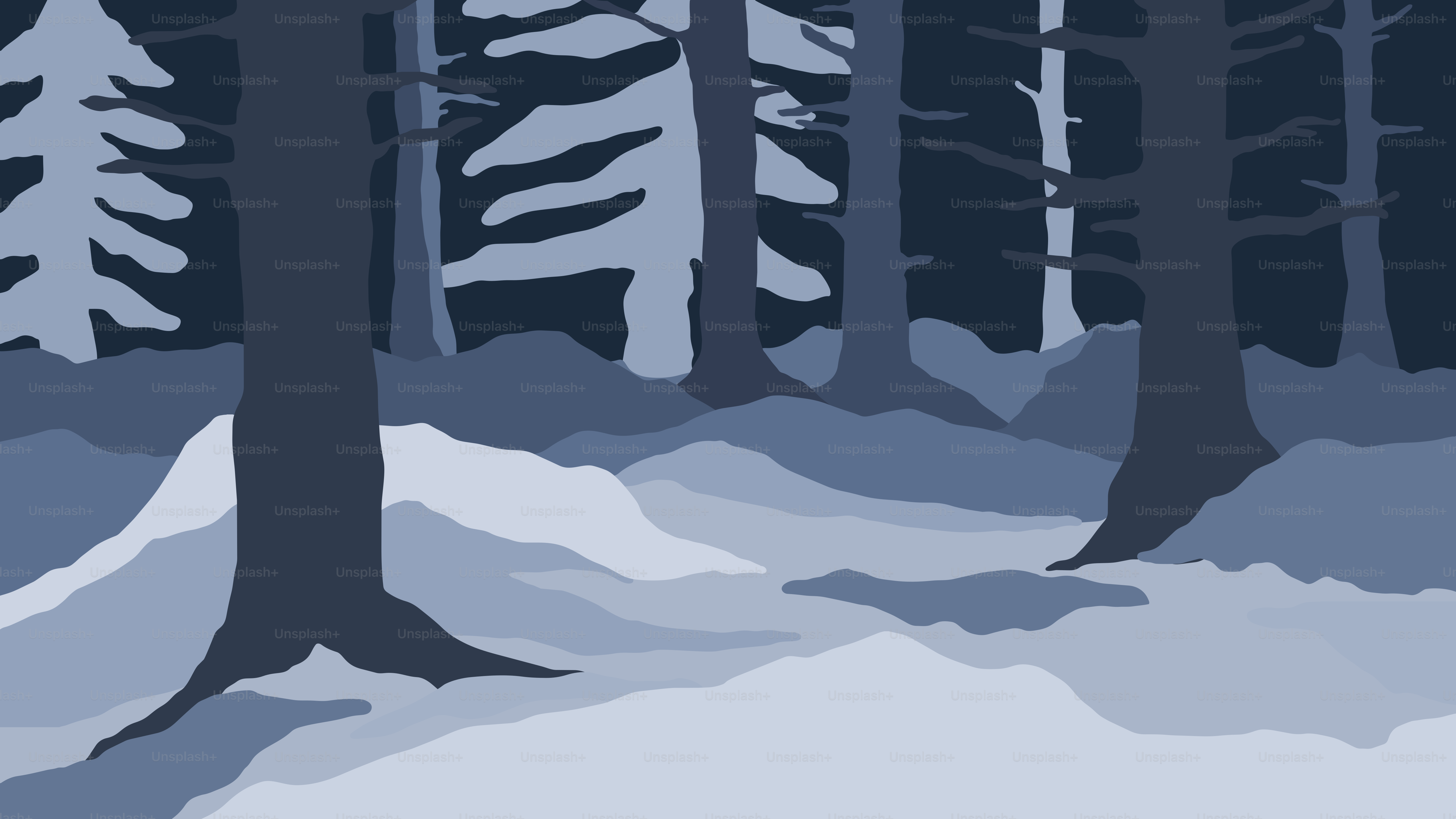 Dark forest path with snow and trees