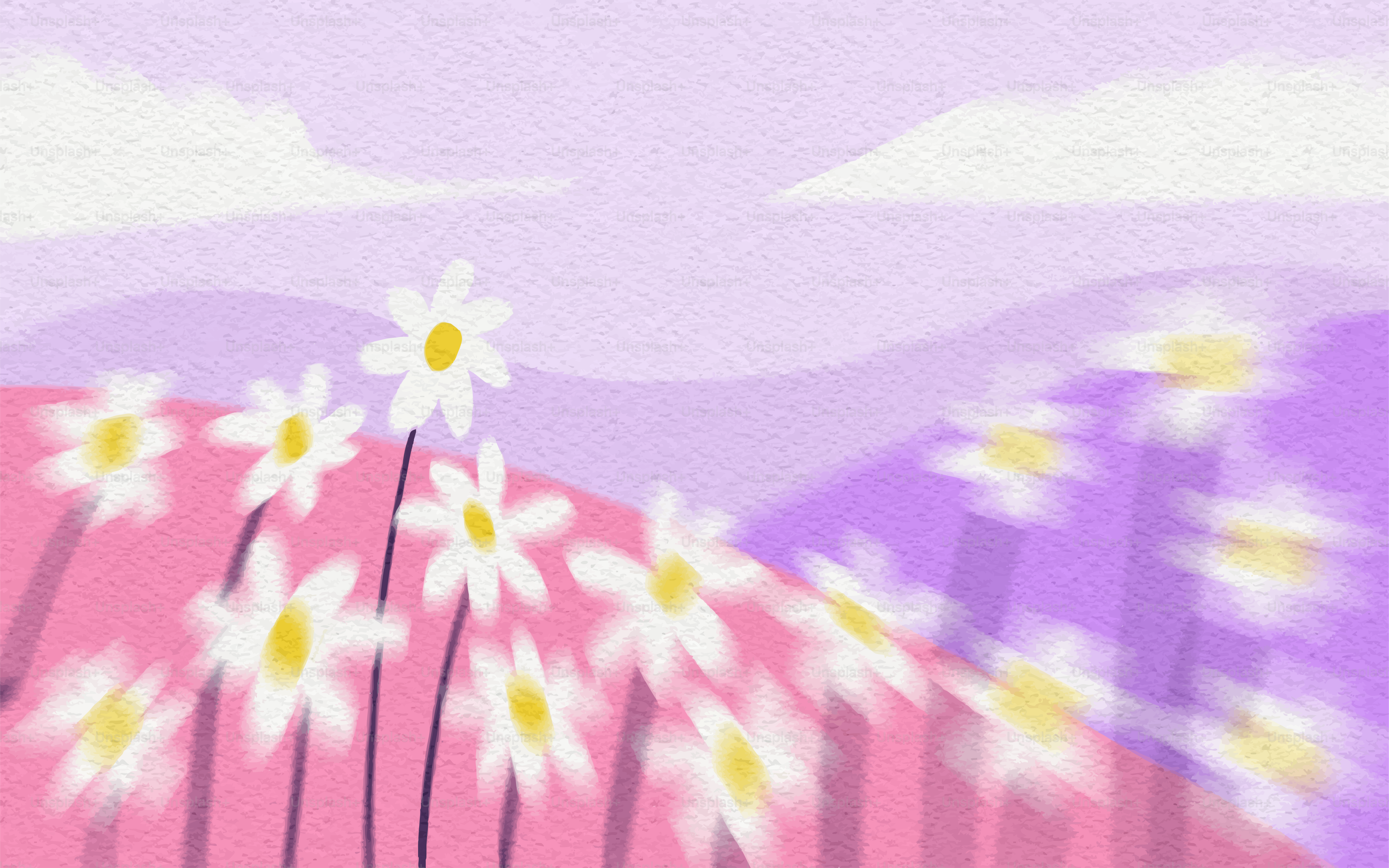 Field of daisies with purple and pink hills