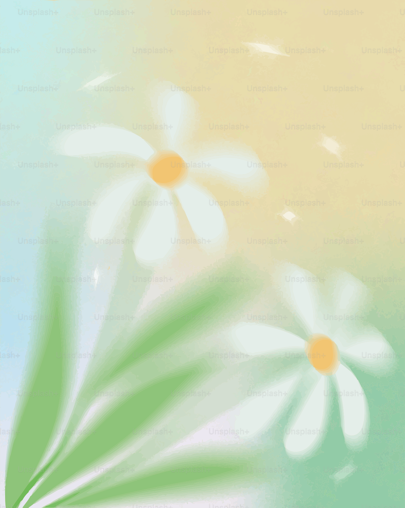 Soft focus white daisies with green leaves and pastel background